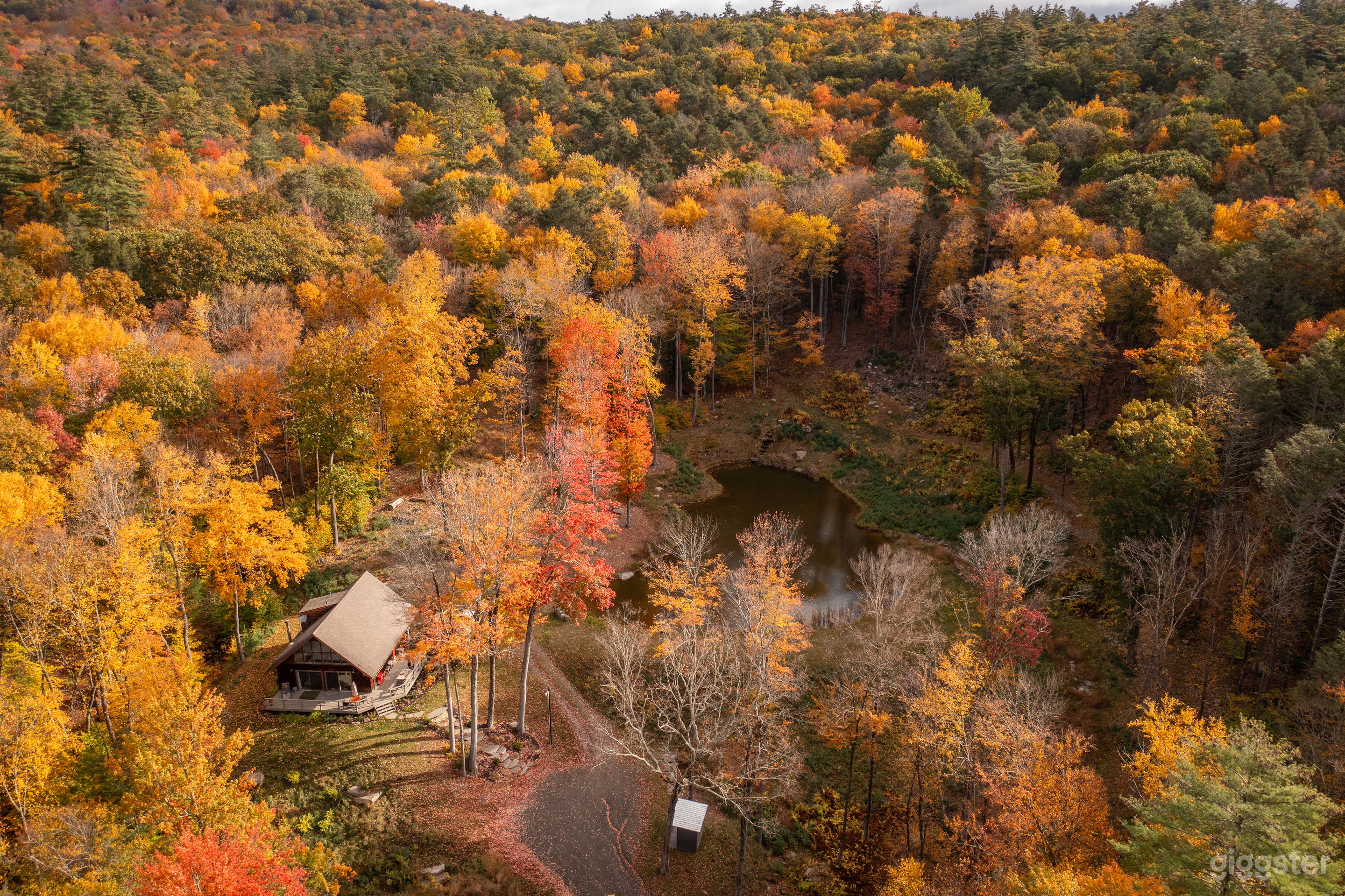 Aerial of the property in late October. 100 acres of Public land following straight up past the pond and right (SE)