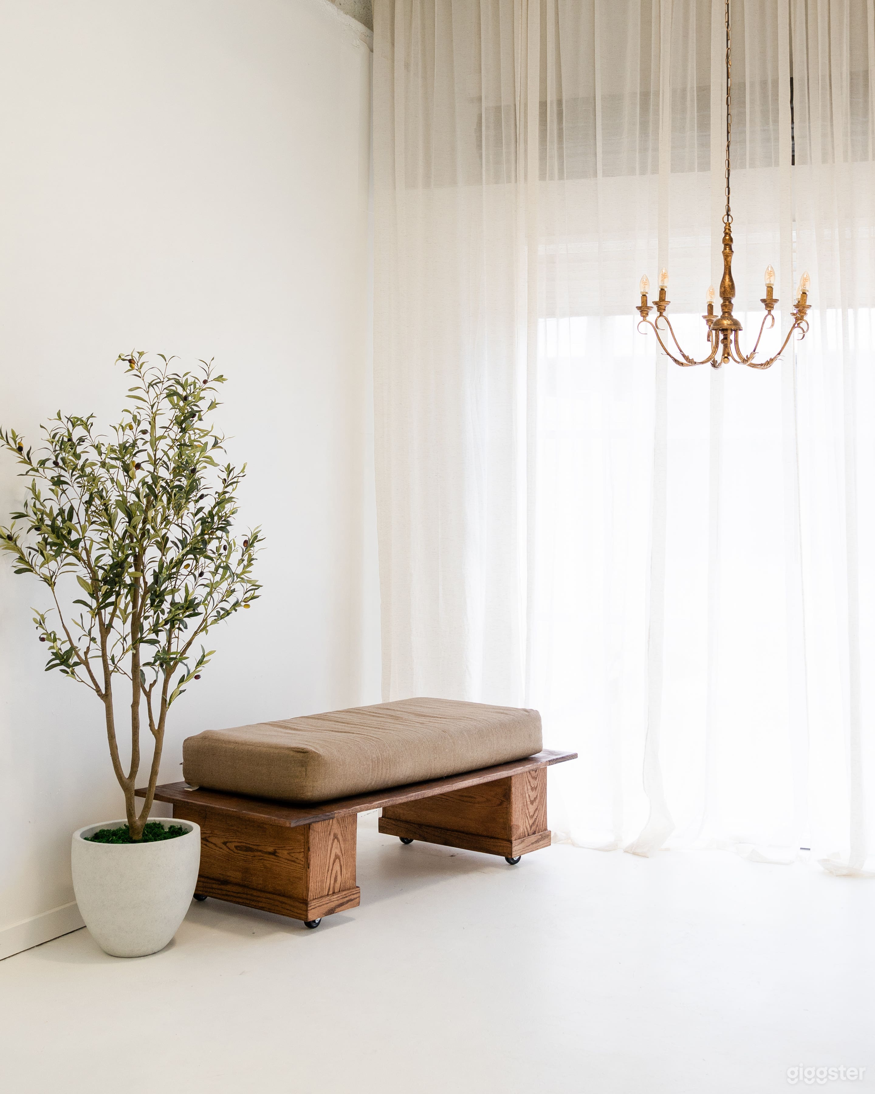 Natural Light Photo Studio Photo 1