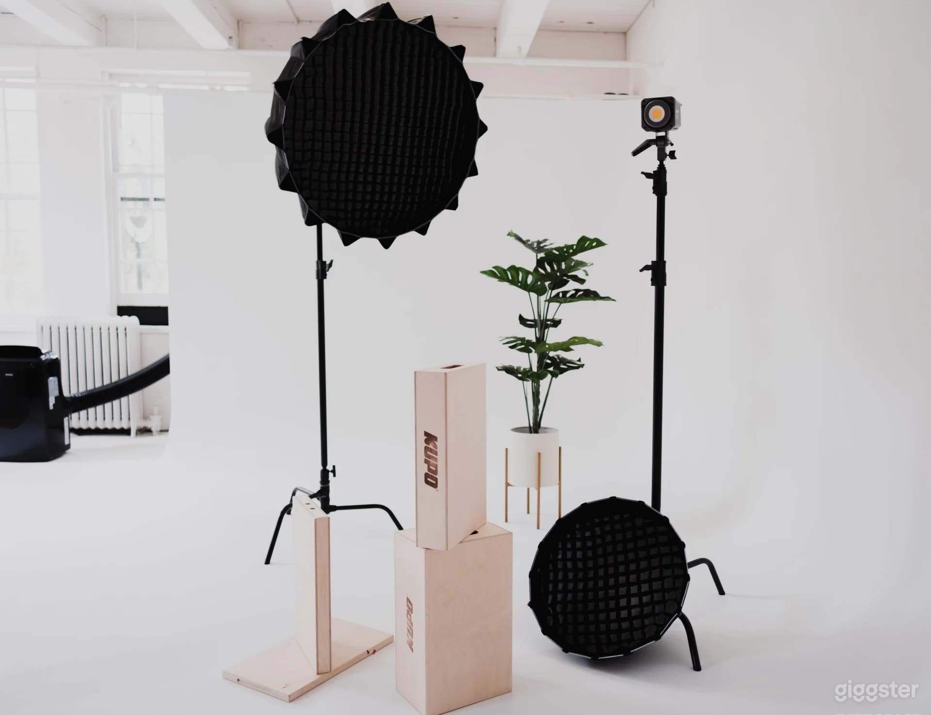 Cyclorama and Color wall Studio Photo 2