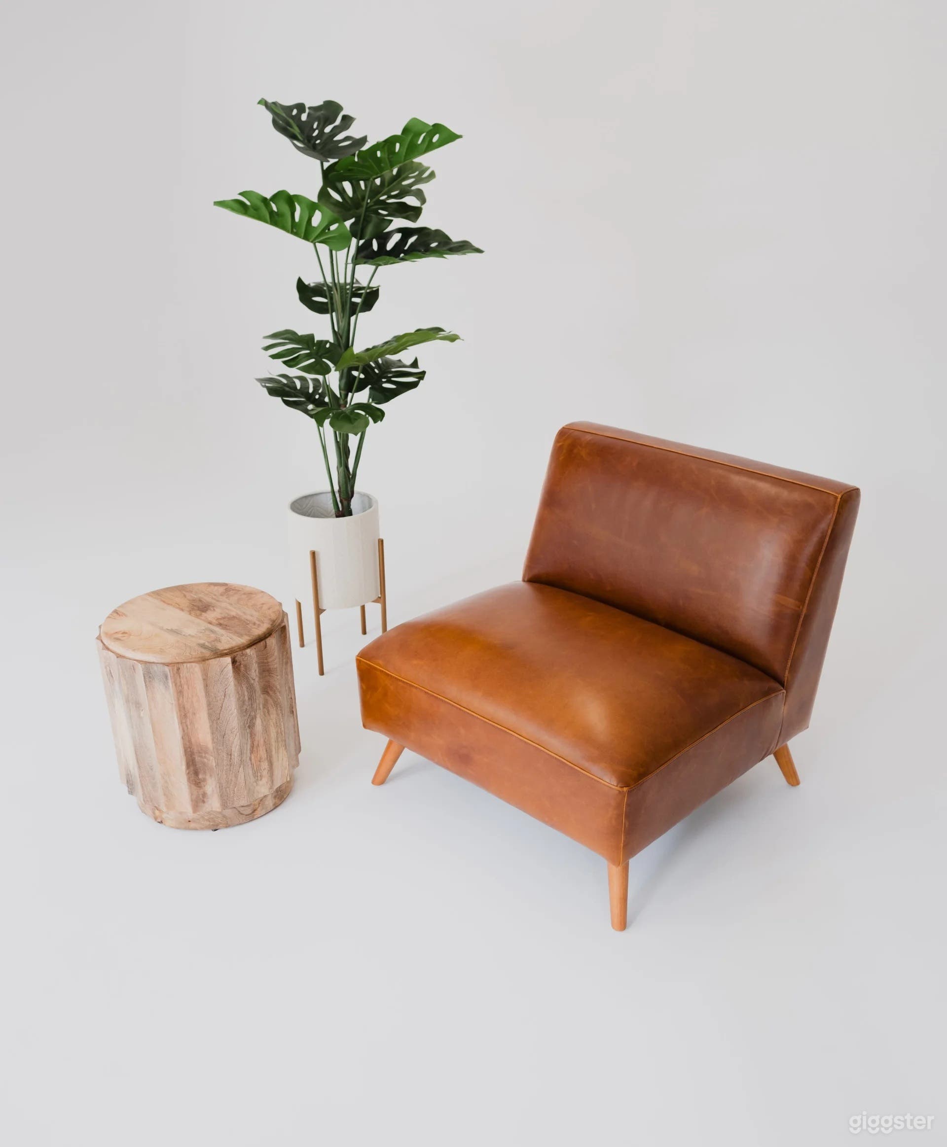 Cyclorama and Color wall Studio Photo 3