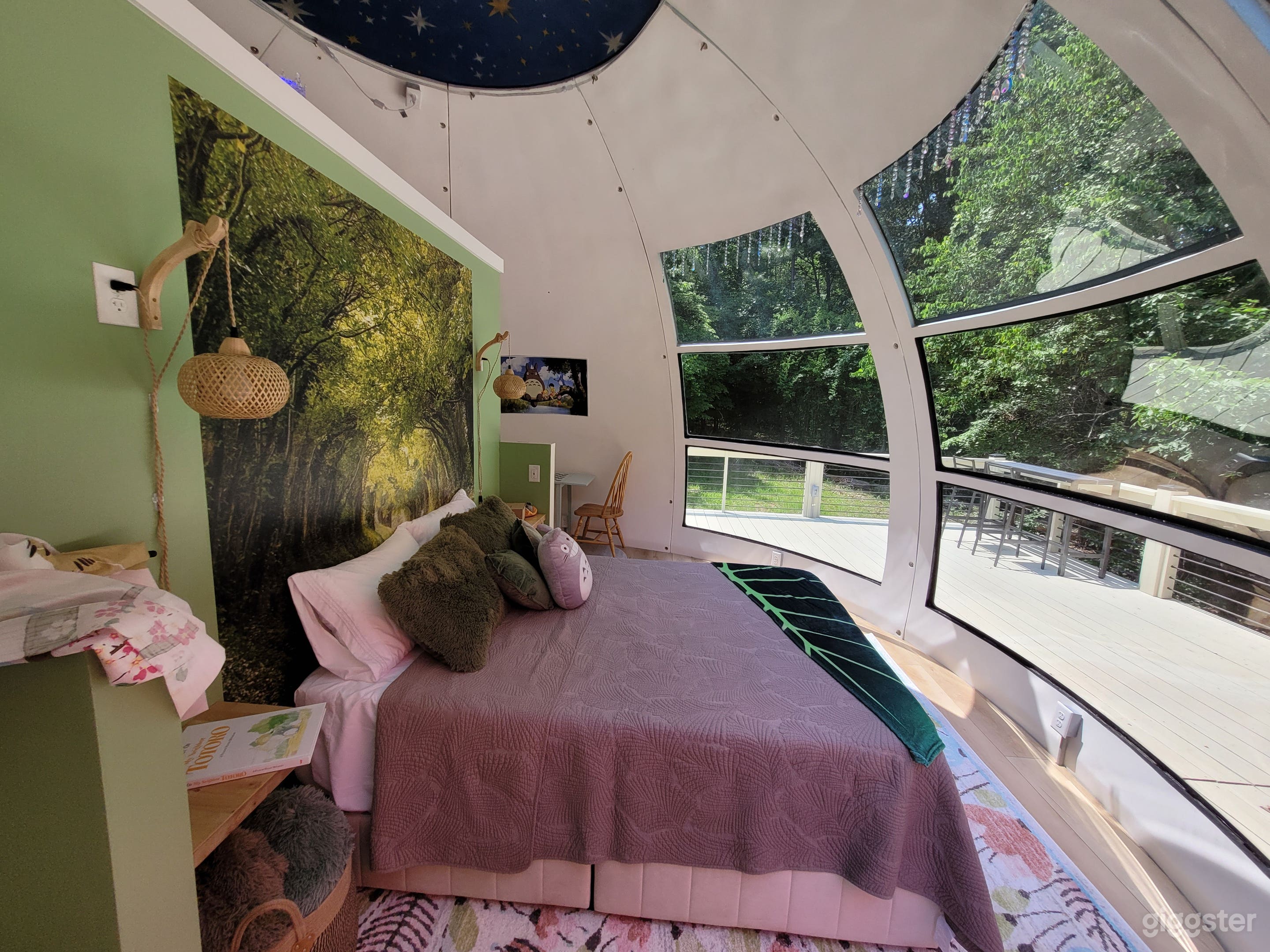 Unique Geodome on 100 Acres with Woods and Fields Photo 4