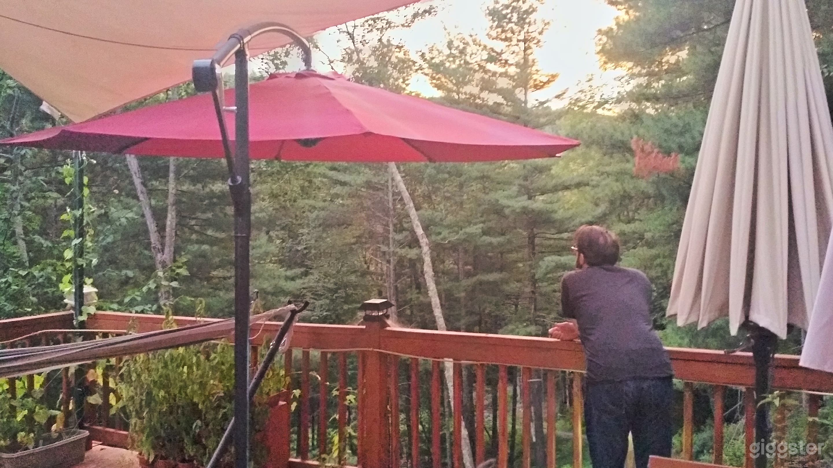 Secluded Modern House In Private Forest Photo 3