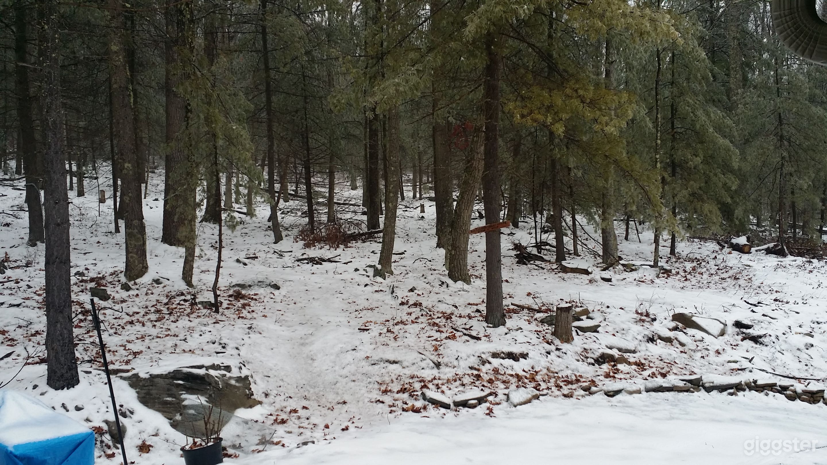 Secluded Modern House In Private Forest Photo 4