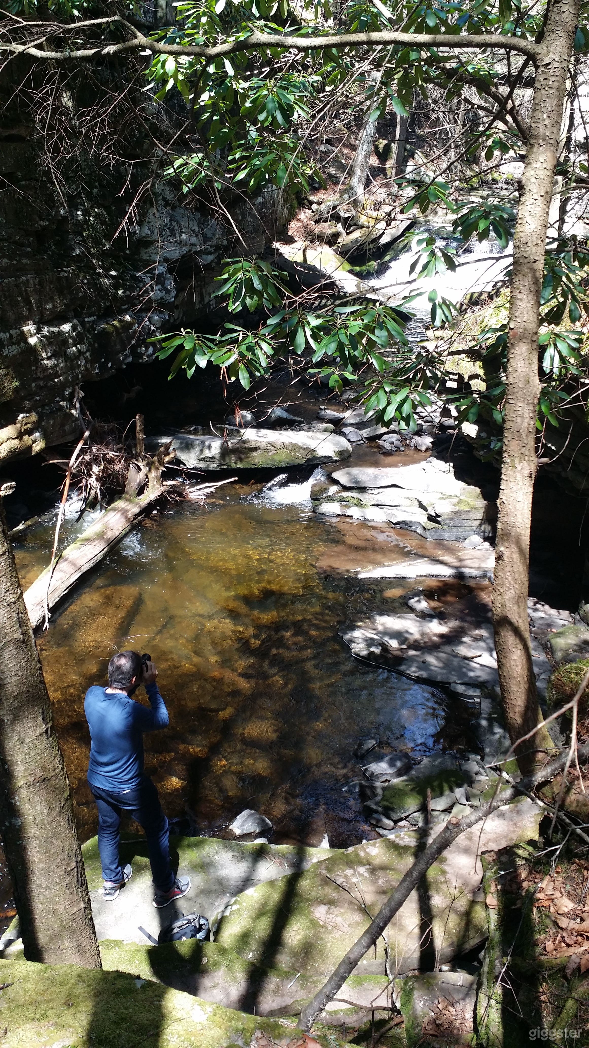 Secluded Modern House In Private Forest Photo 1