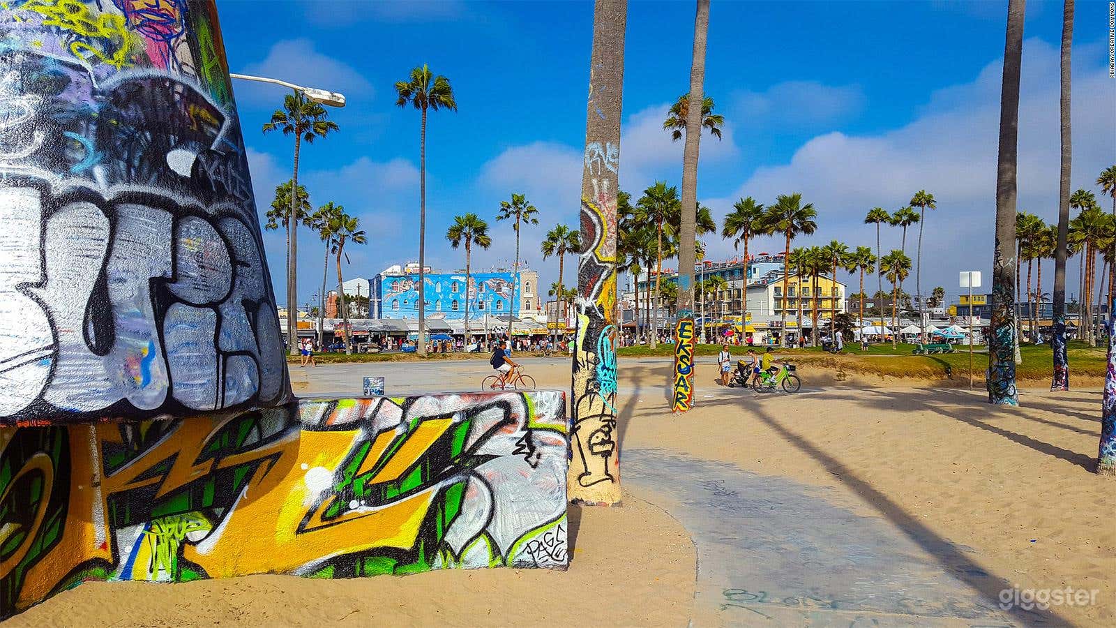 Venice Beach Photo 2