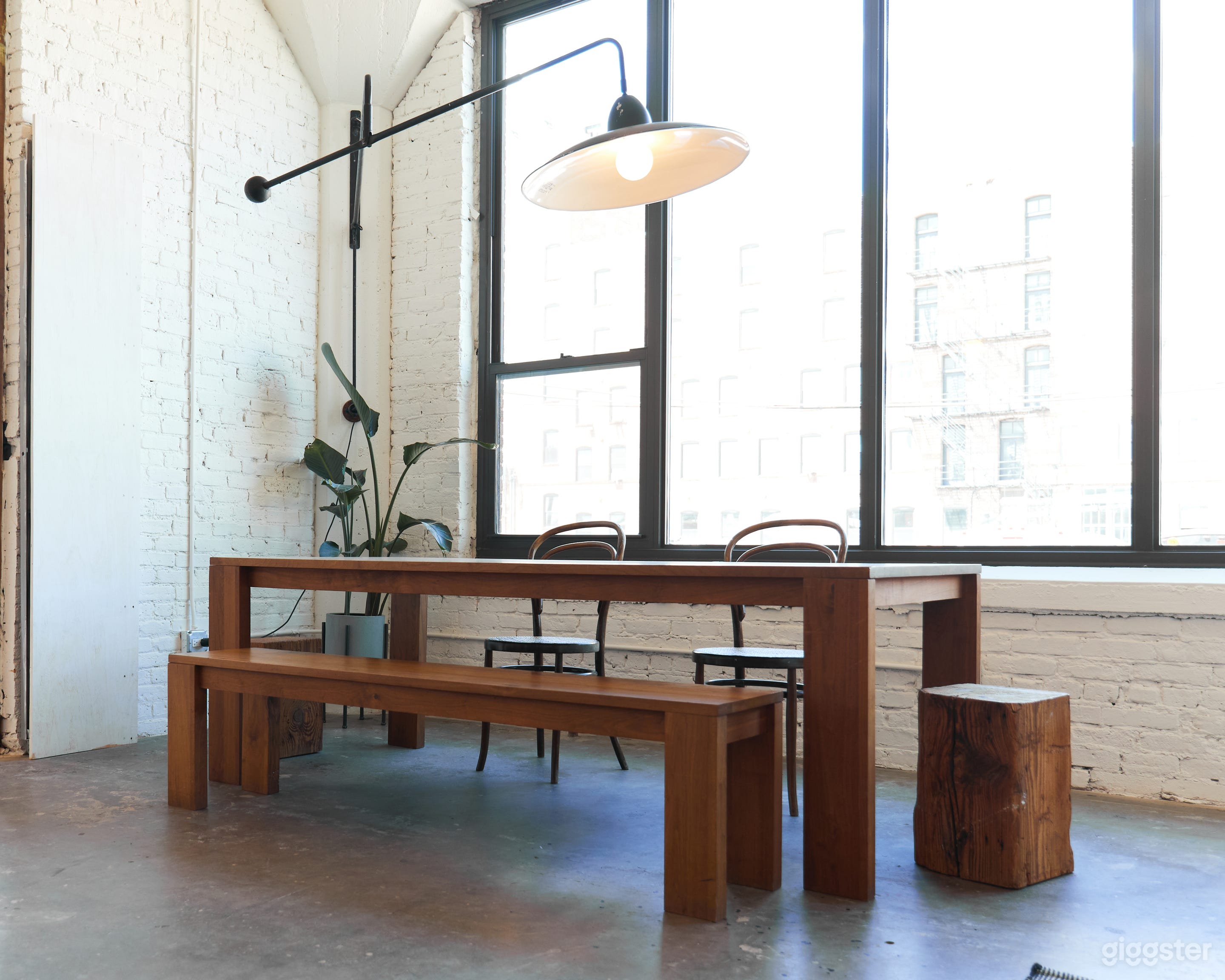 Sun-Drenched Designer Cafe Photo 2