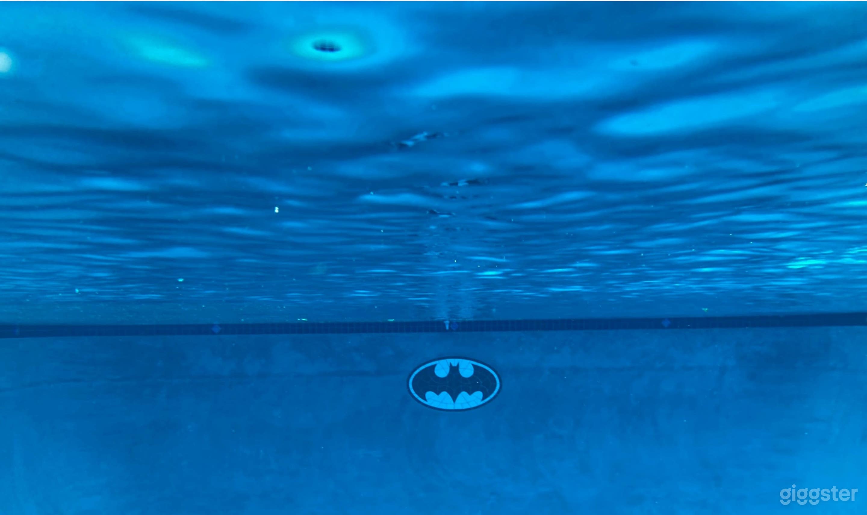 Private Pool In West Hills Photo 3