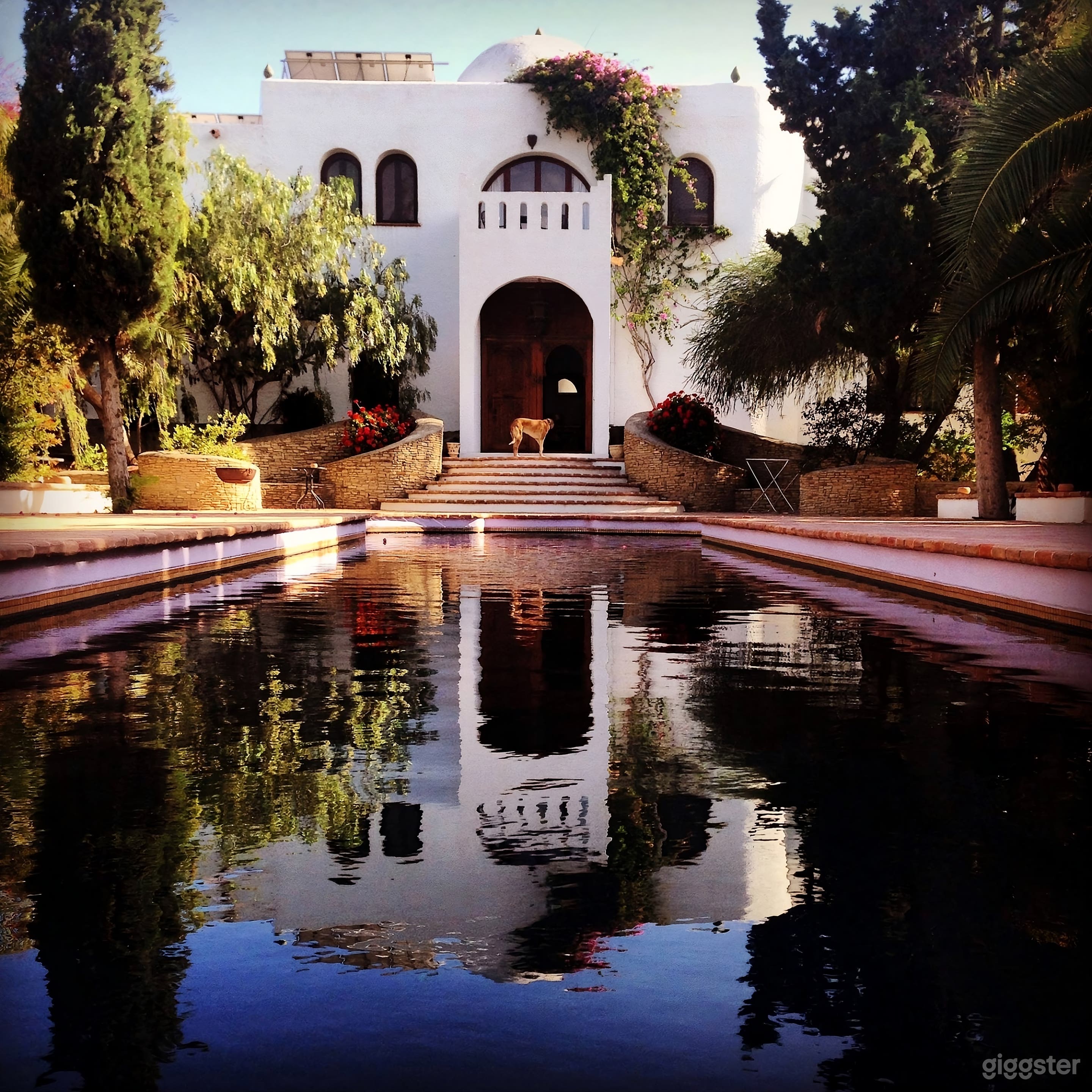 Oasis con piscinas, jardines y senderos meditativos. Foto 1