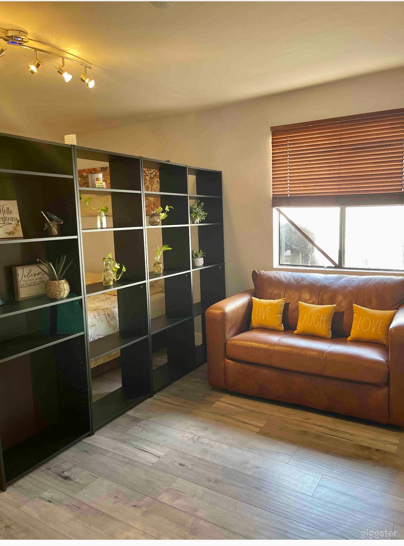 Bookshelf and living room area