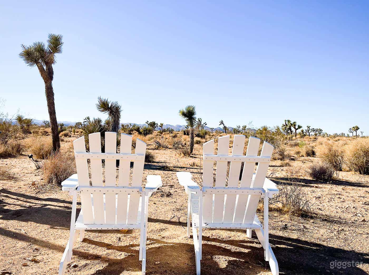 Desert Maui - Joshua Trees + Stars  Photo 1