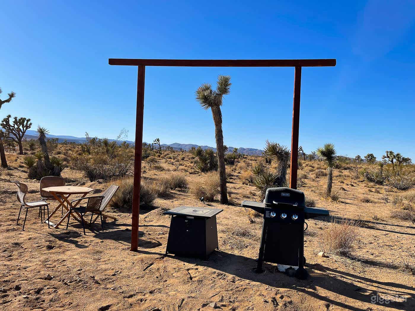 Desert Maui - Joshua Trees + Stars  Photo 4