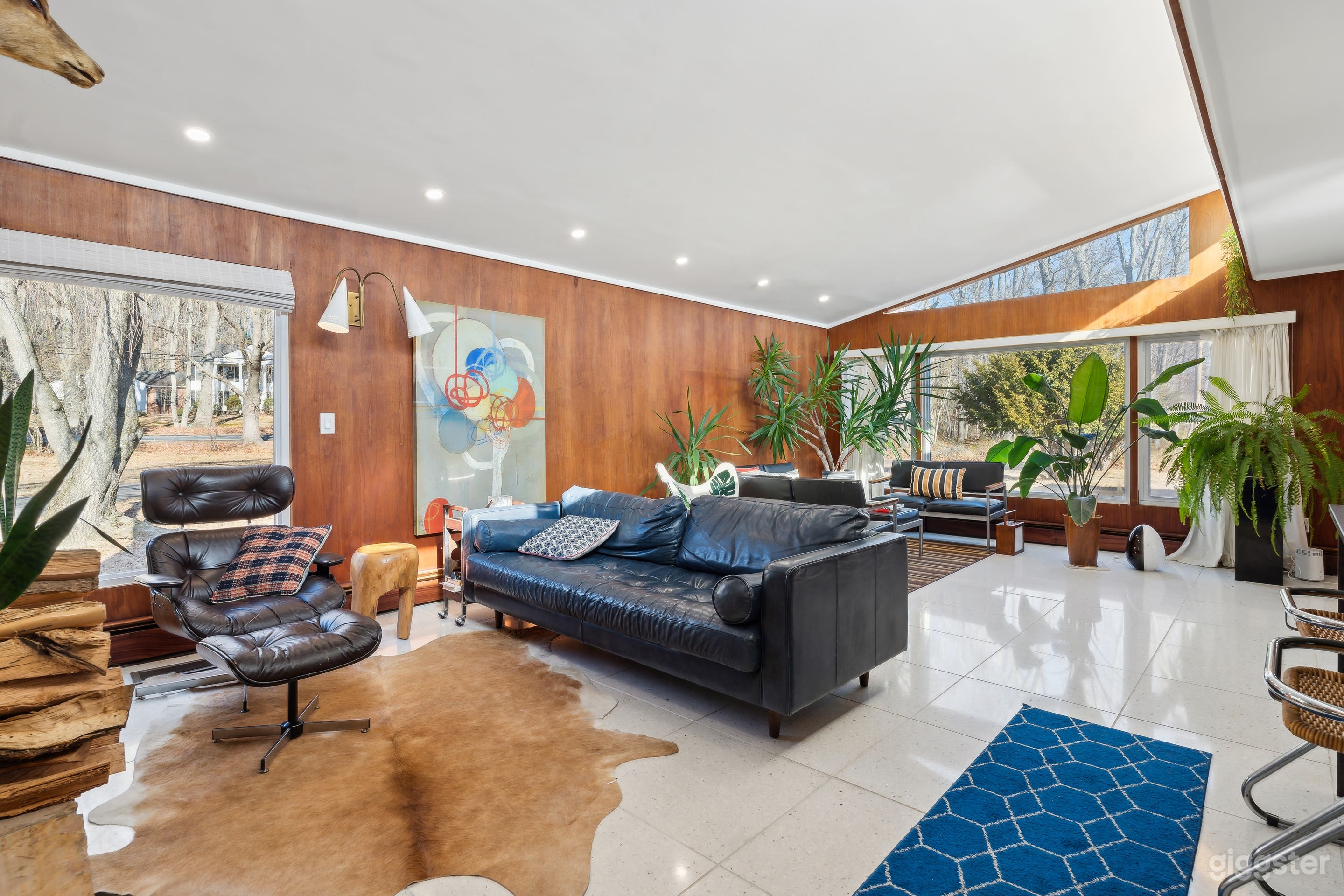 Midcentury Time Capsule Photo 1