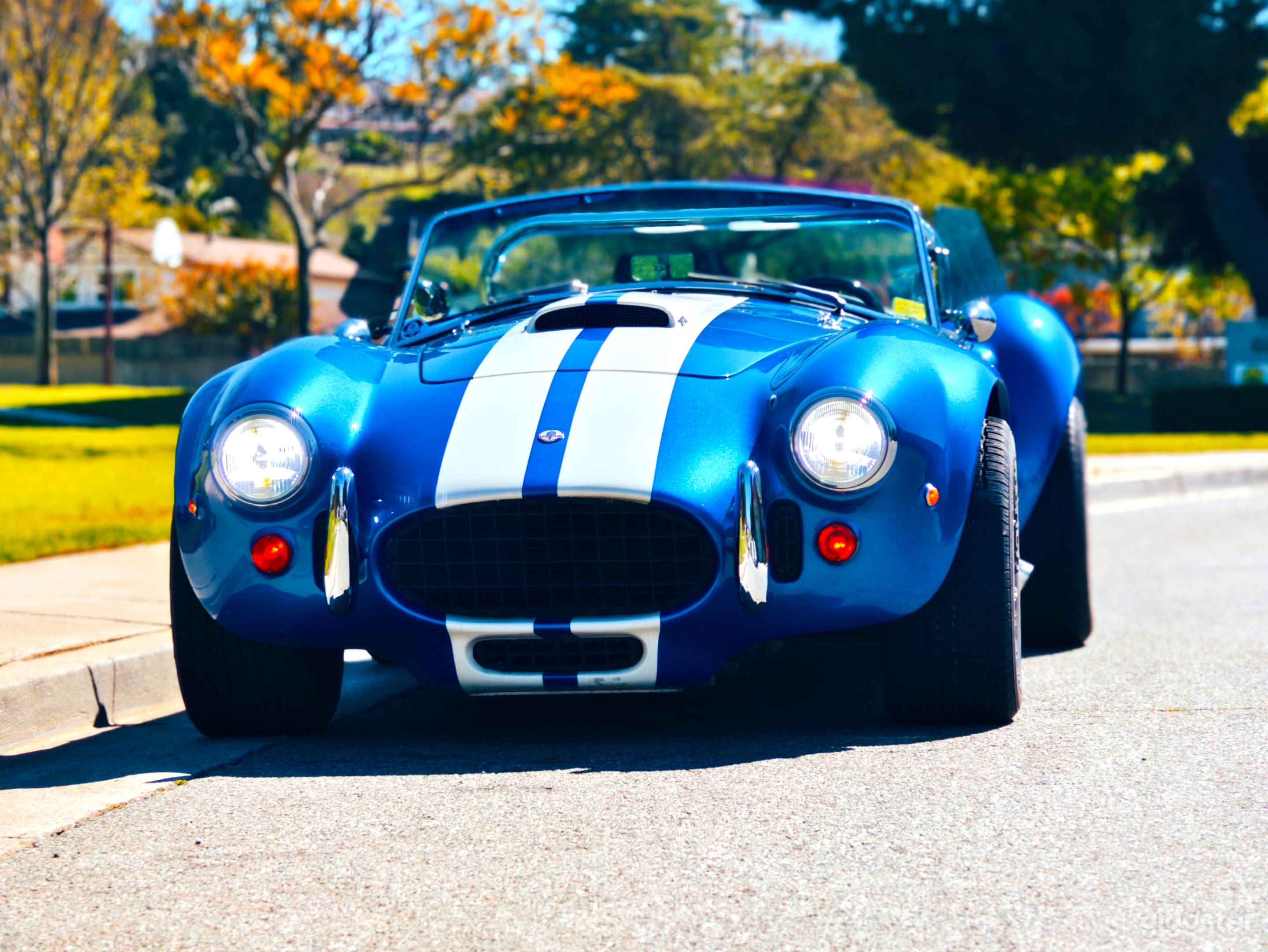 #76,152 Shelby Cobra Automatic Photo 3