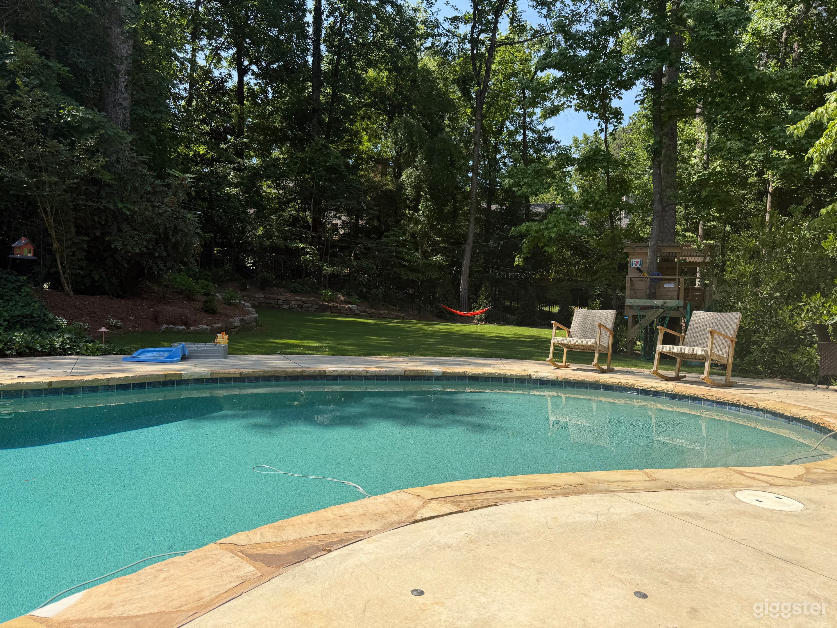 Pool scene with professional landscape tree house Photo 1