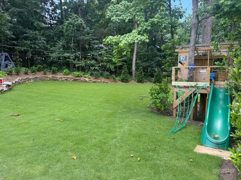 Pool scene with professional landscape tree house 
