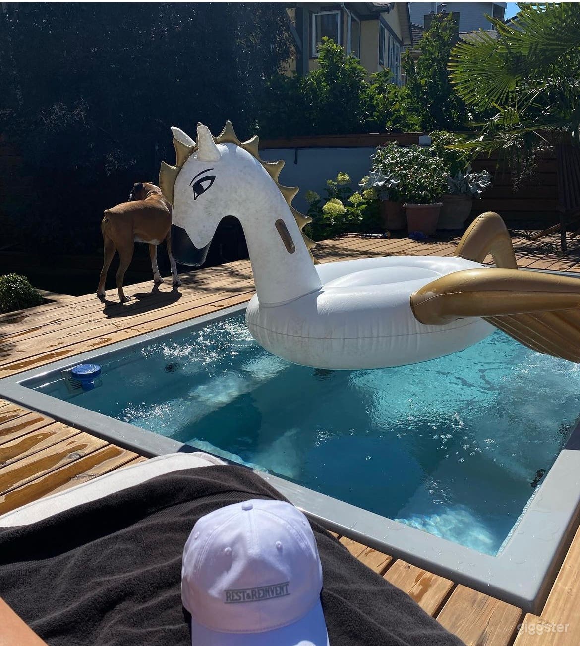 Private ocean view backyard with a pool Photo 3