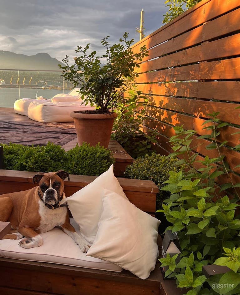  Private ocean view backyard with a pool 