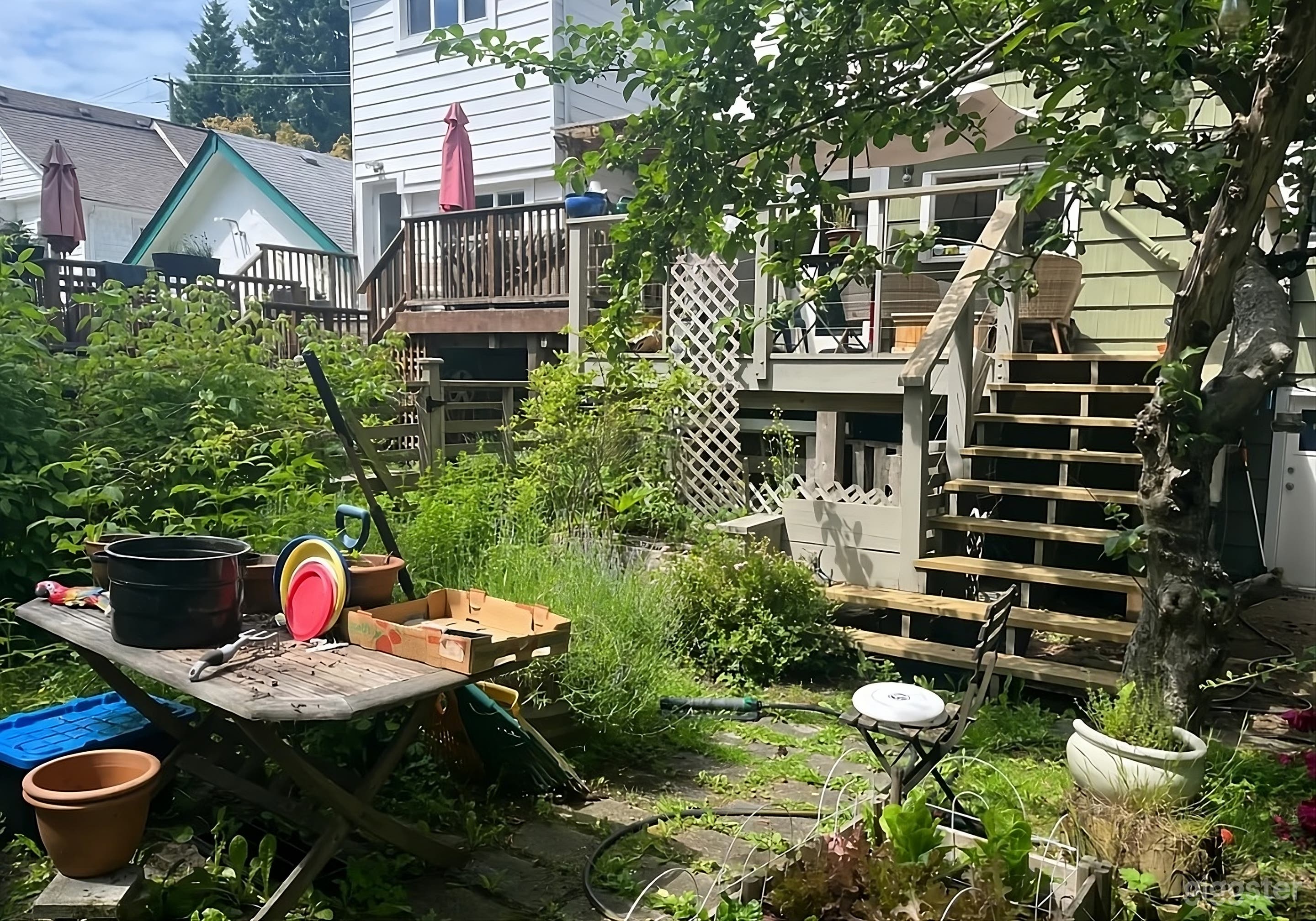 Charming Secluded Backyard Photo 2