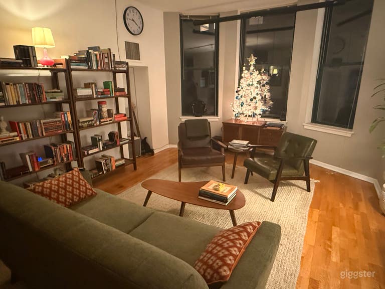  Downtown Chicago Midcentury Apartment 