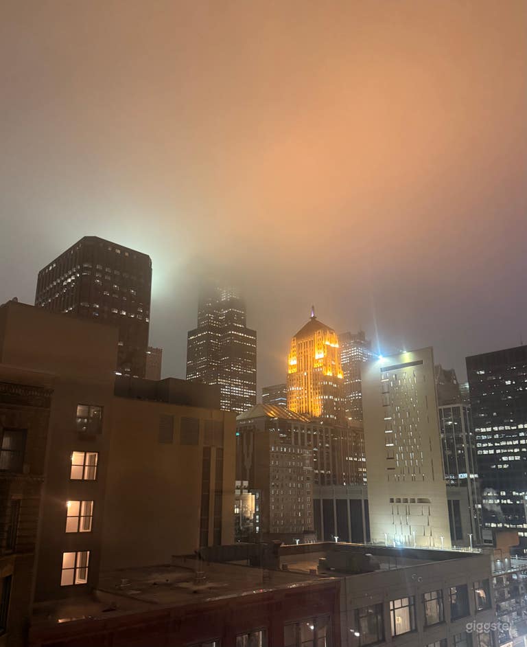  Downtown Chicago Midcentury Apartment 