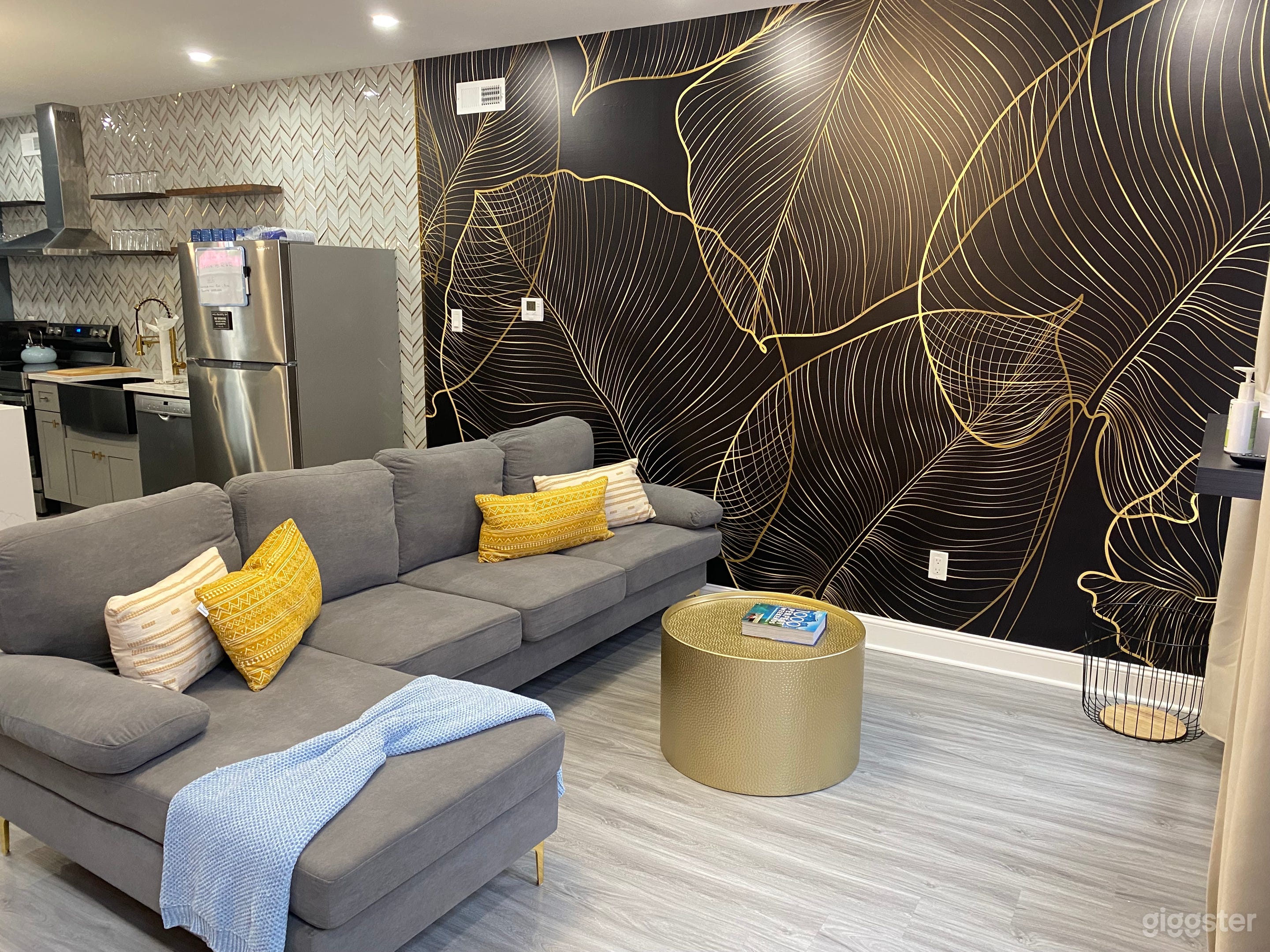 Beautifully designed house in Point Breeze, Philly Photo 1