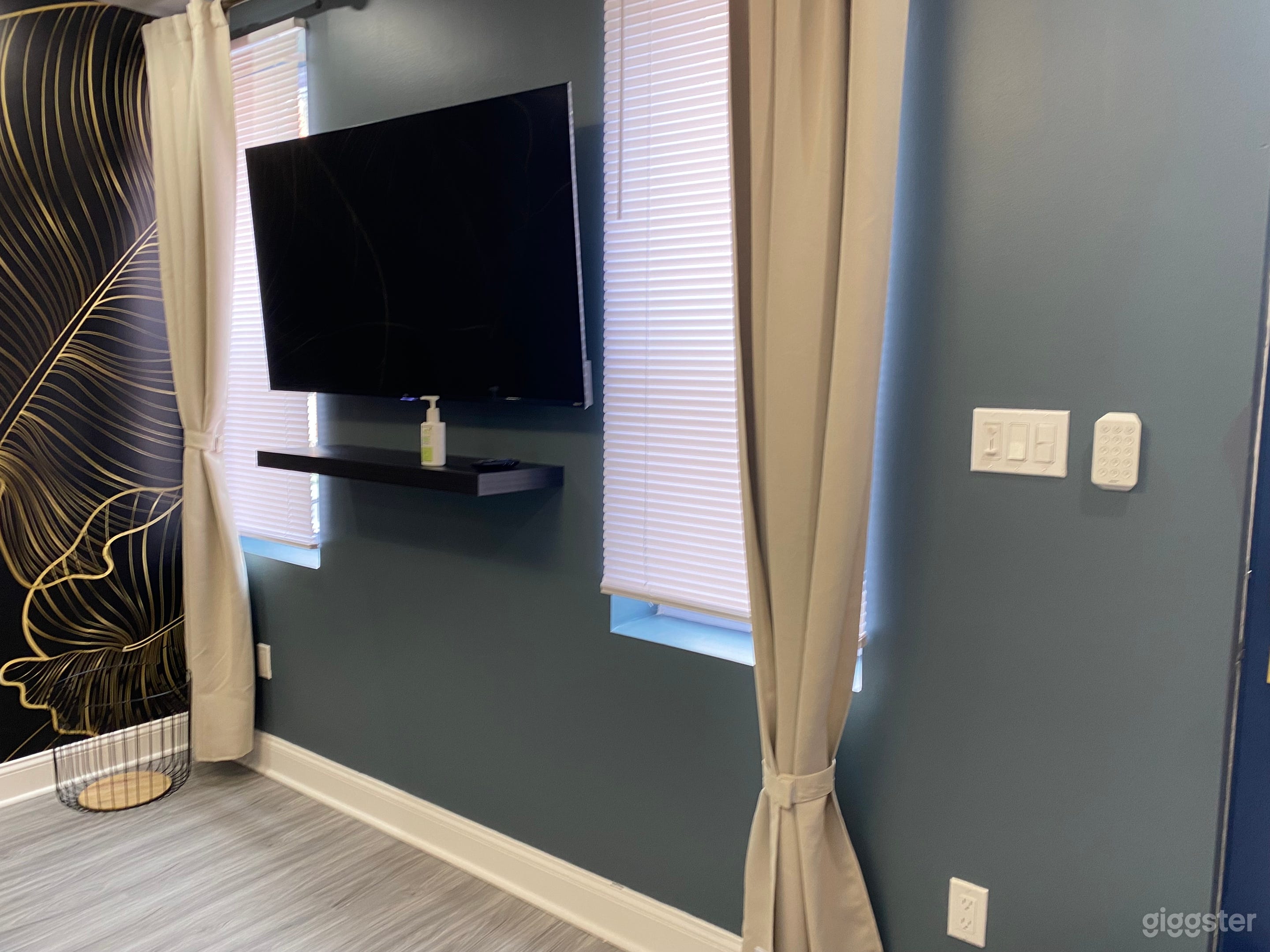 Beautifully designed house in Point Breeze, Philly Photo 4