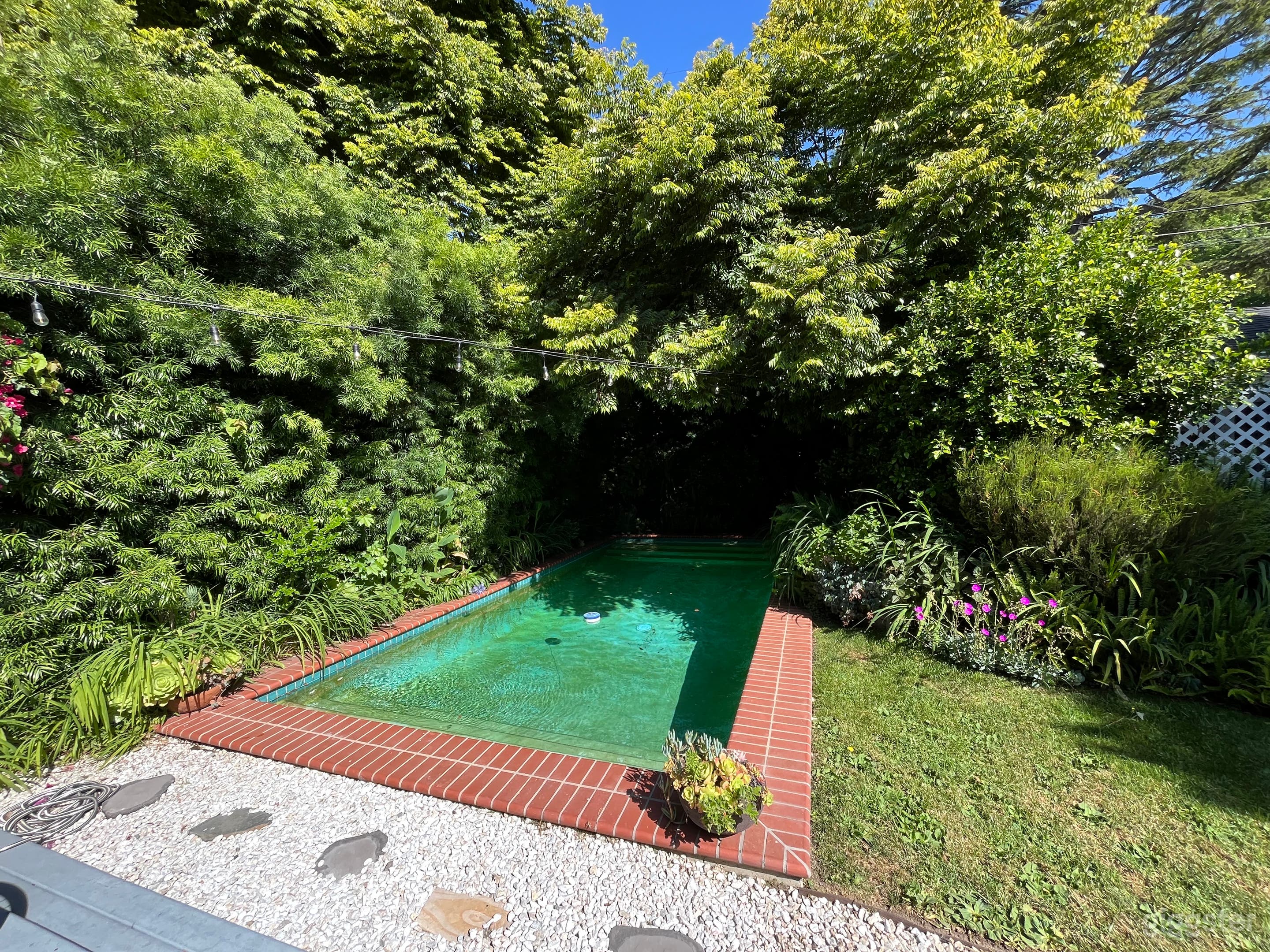 Secret Garden Pool Photo 1