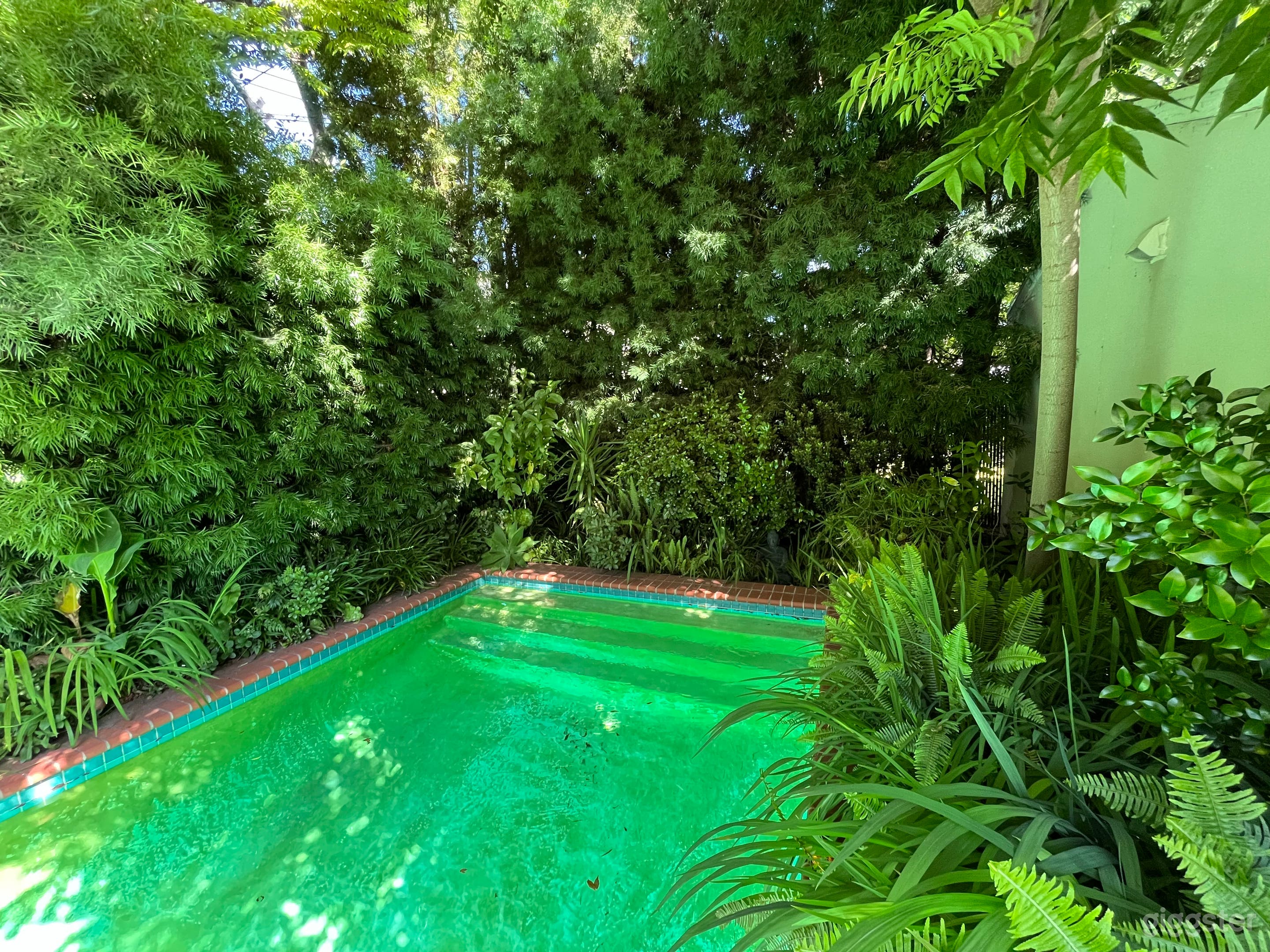 Secret Garden Pool Photo 2