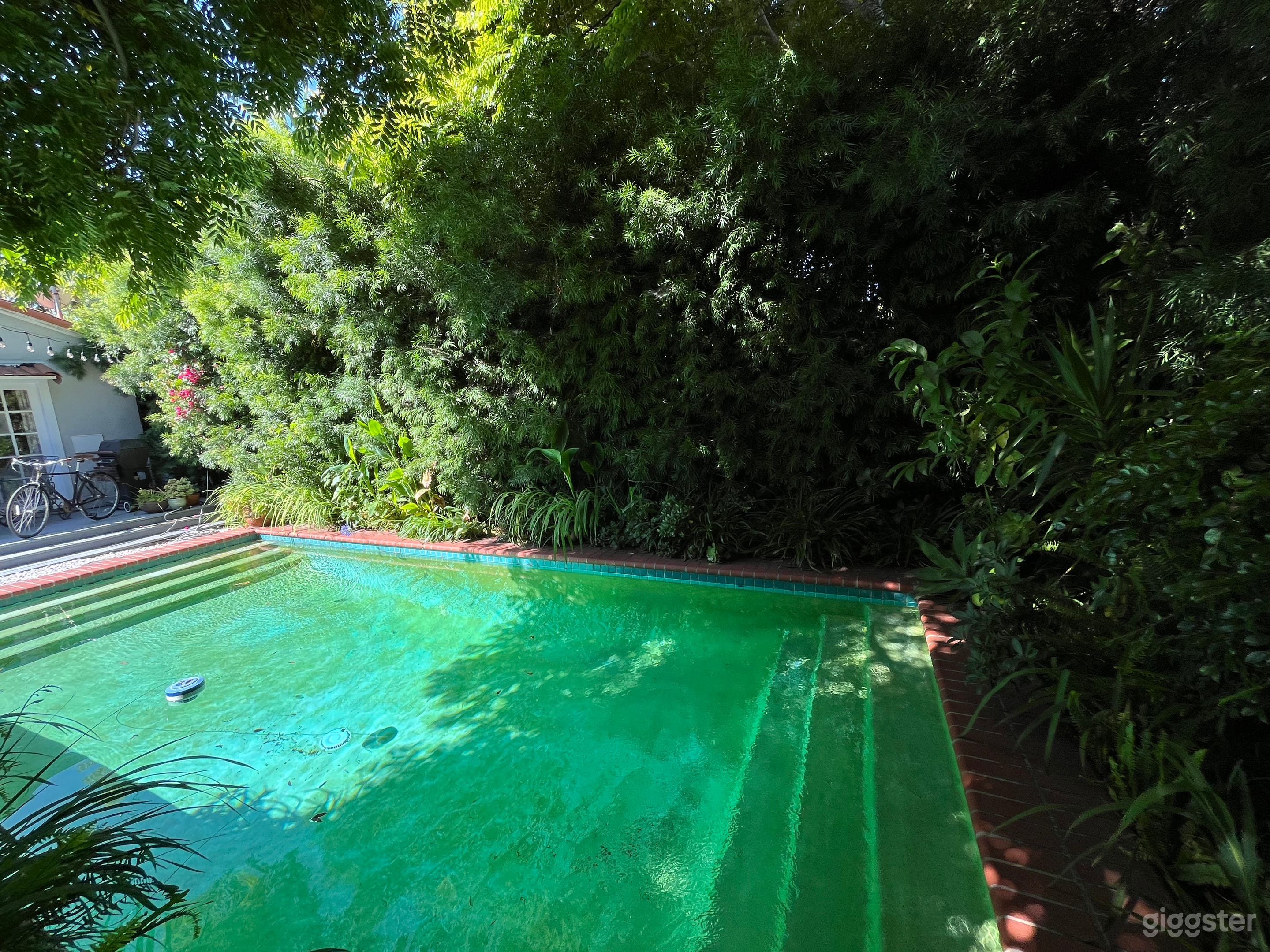 Secret Garden Pool Photo 3