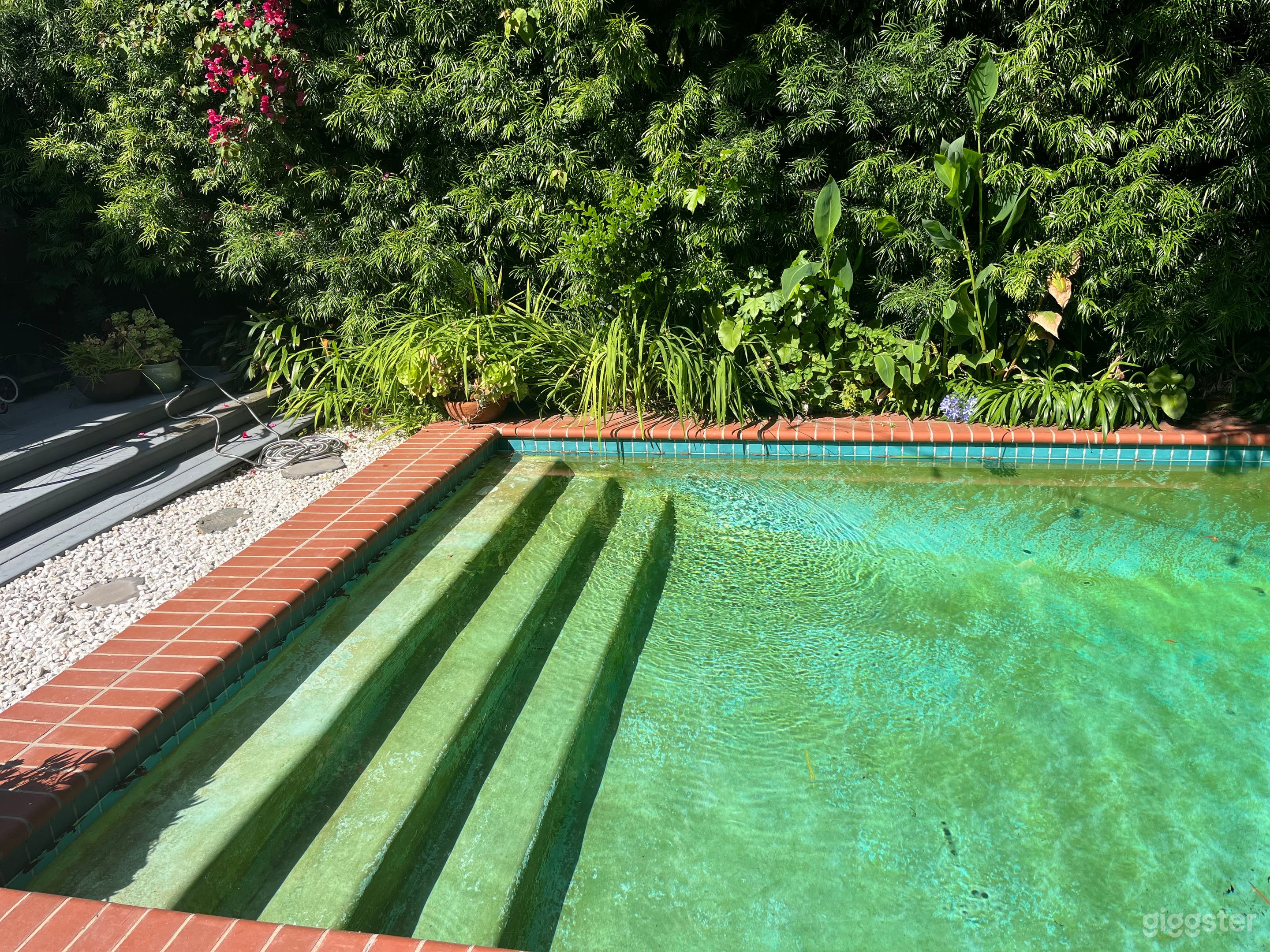 Secret Garden Pool Photo 4