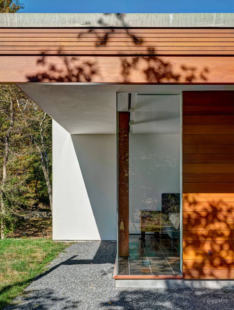  Stunning Mid-Century Modern home  