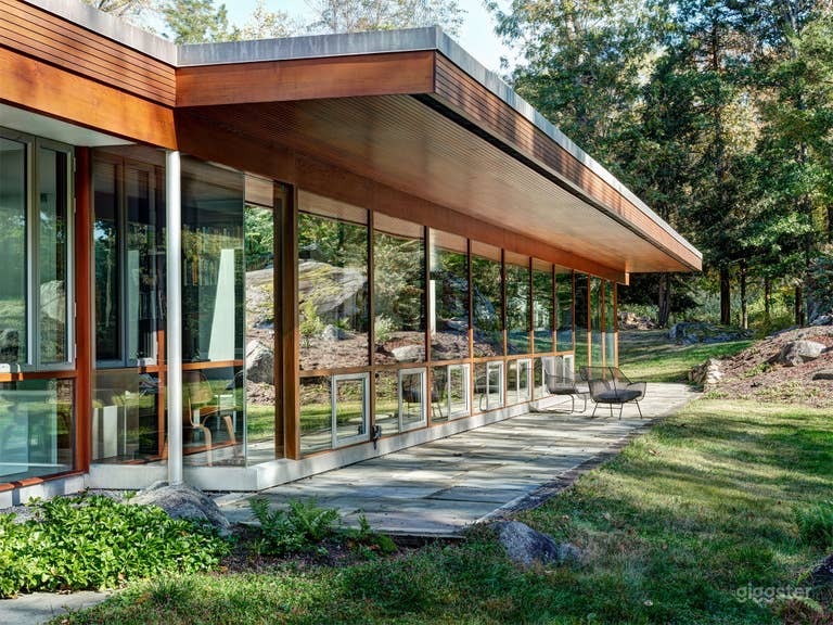  Stunning Mid-Century Modern home  