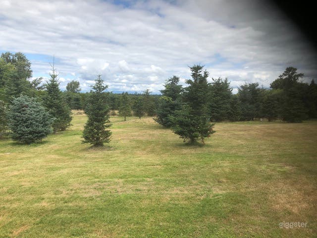 Hazelmere Estates  Photo 2