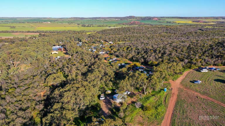  Buyout - Stone & Timber Barn | Music Festival Stage| Fox Dam | Bush Tub Garden & Pizzeria 