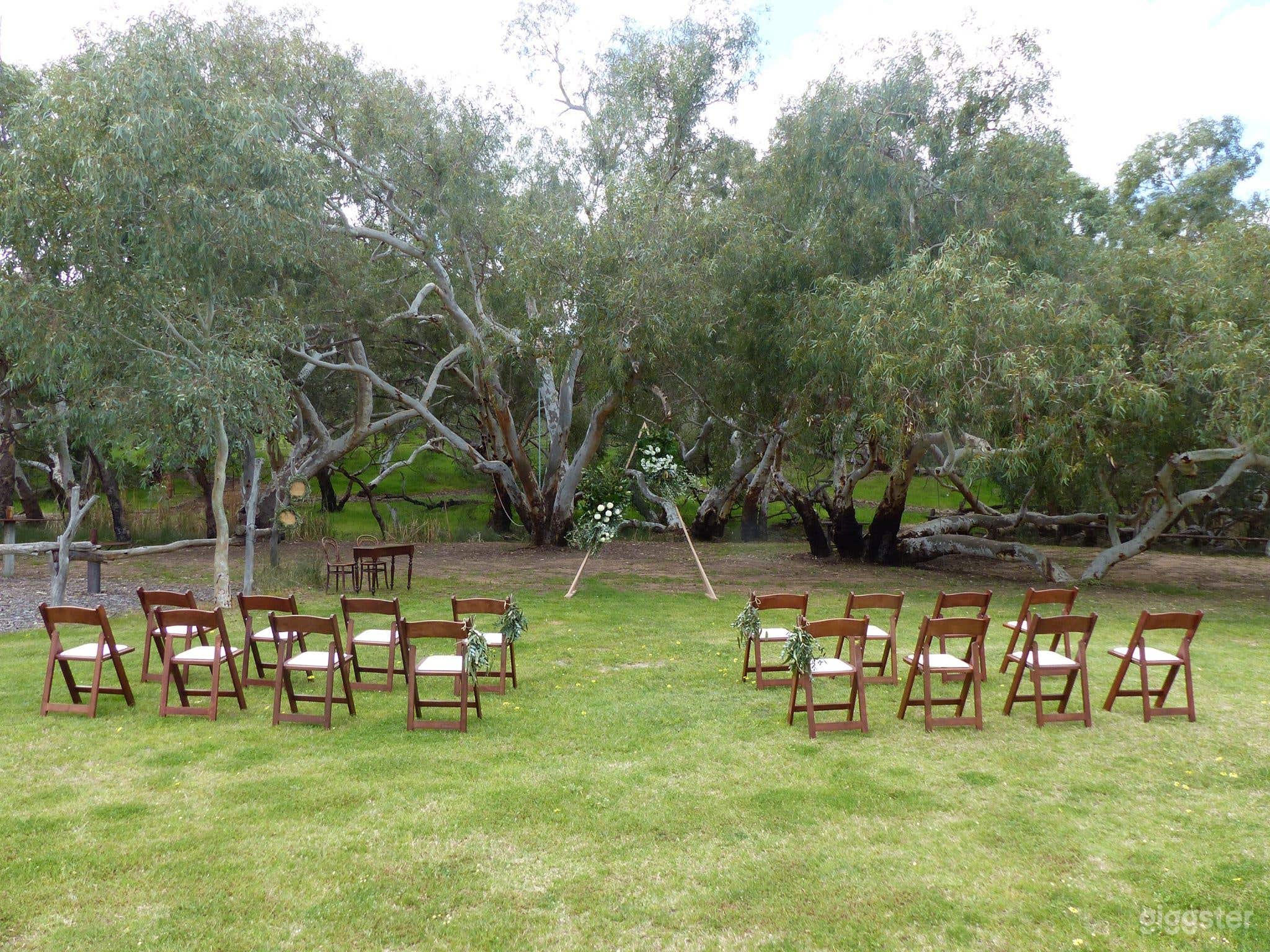 Buyout - Stone &amp; Timber Barn | Music Festival Stage| Fox Dam | Bush Tub Garden &amp; Pizzeria Photo 4