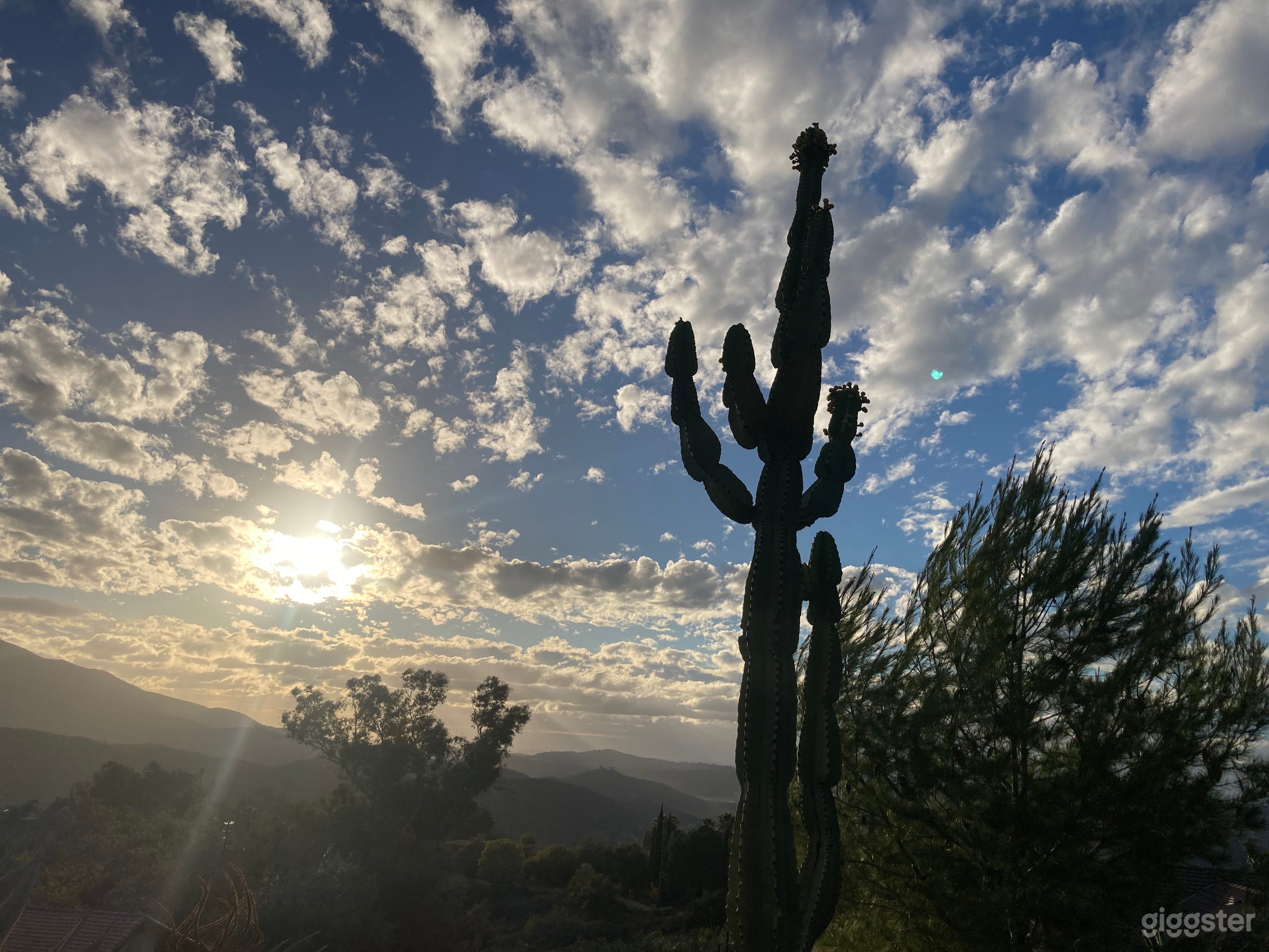 Painted Sky Hacienda Photo 1