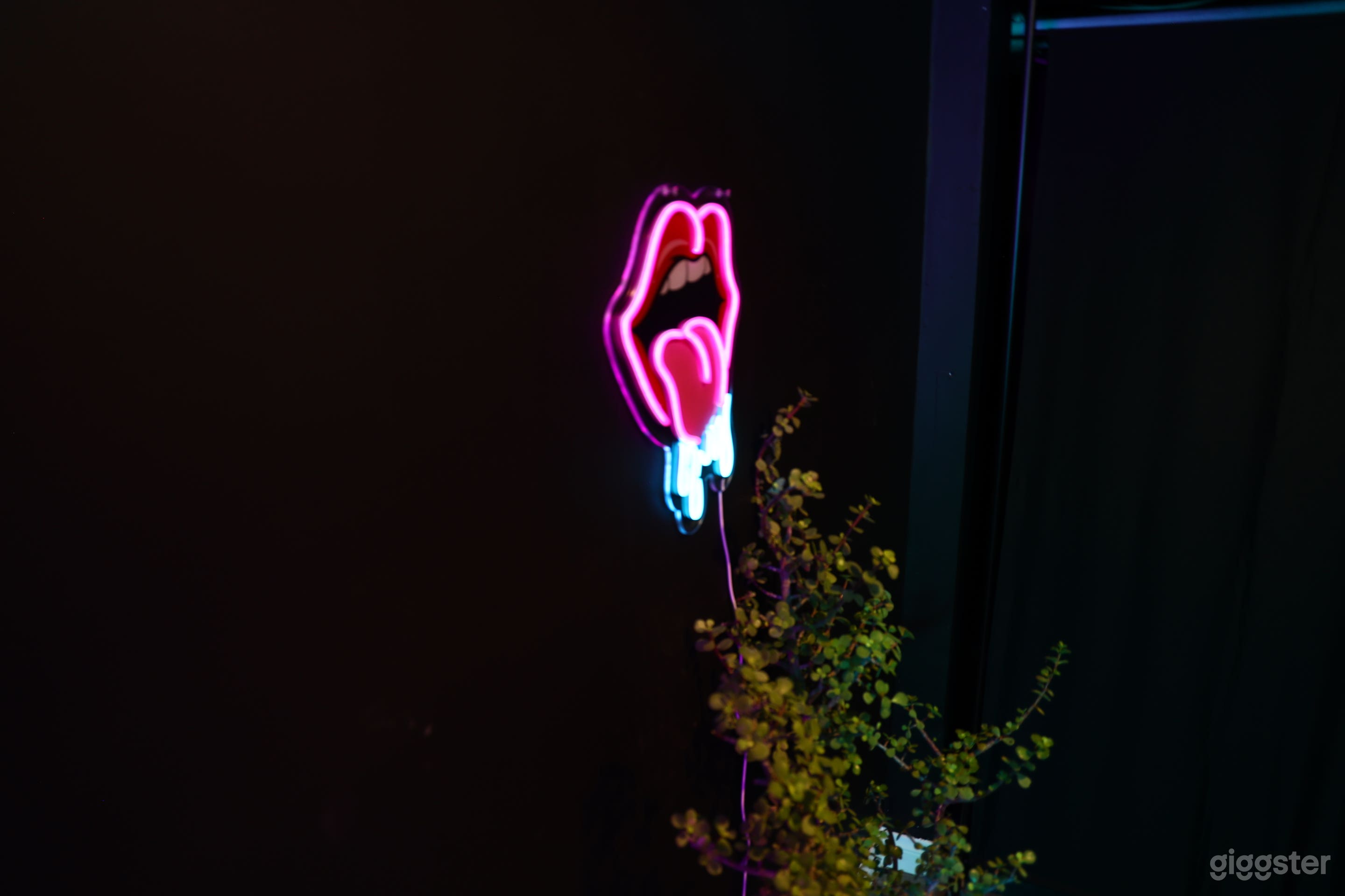 Stylish Dressing Room Set with Vanity & Lighting Photo 4