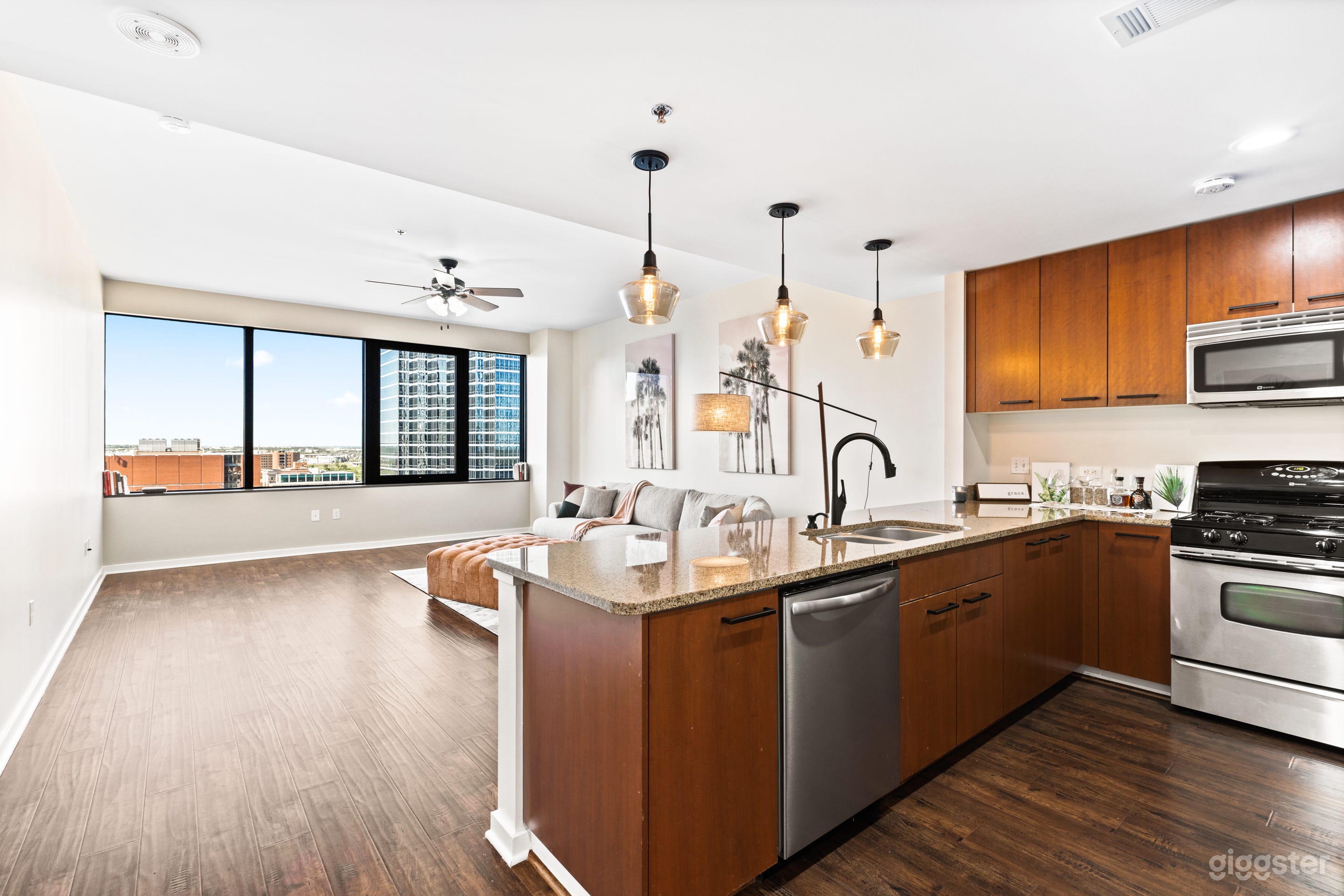 Downtown Dallas High Rise with Skyline View Photo 1