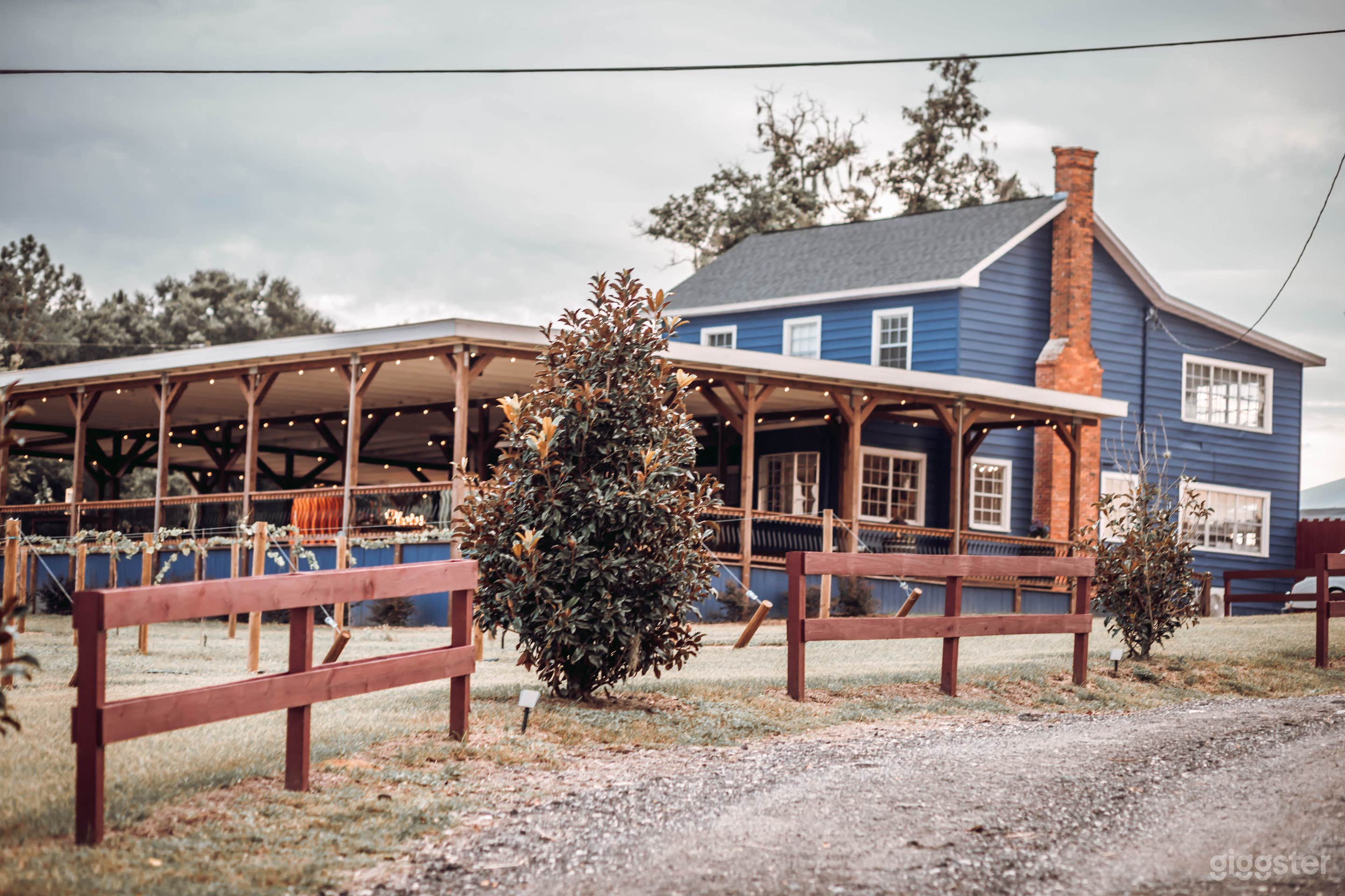 Lakefront Vineyard in the heart of Central Florida Photo 3