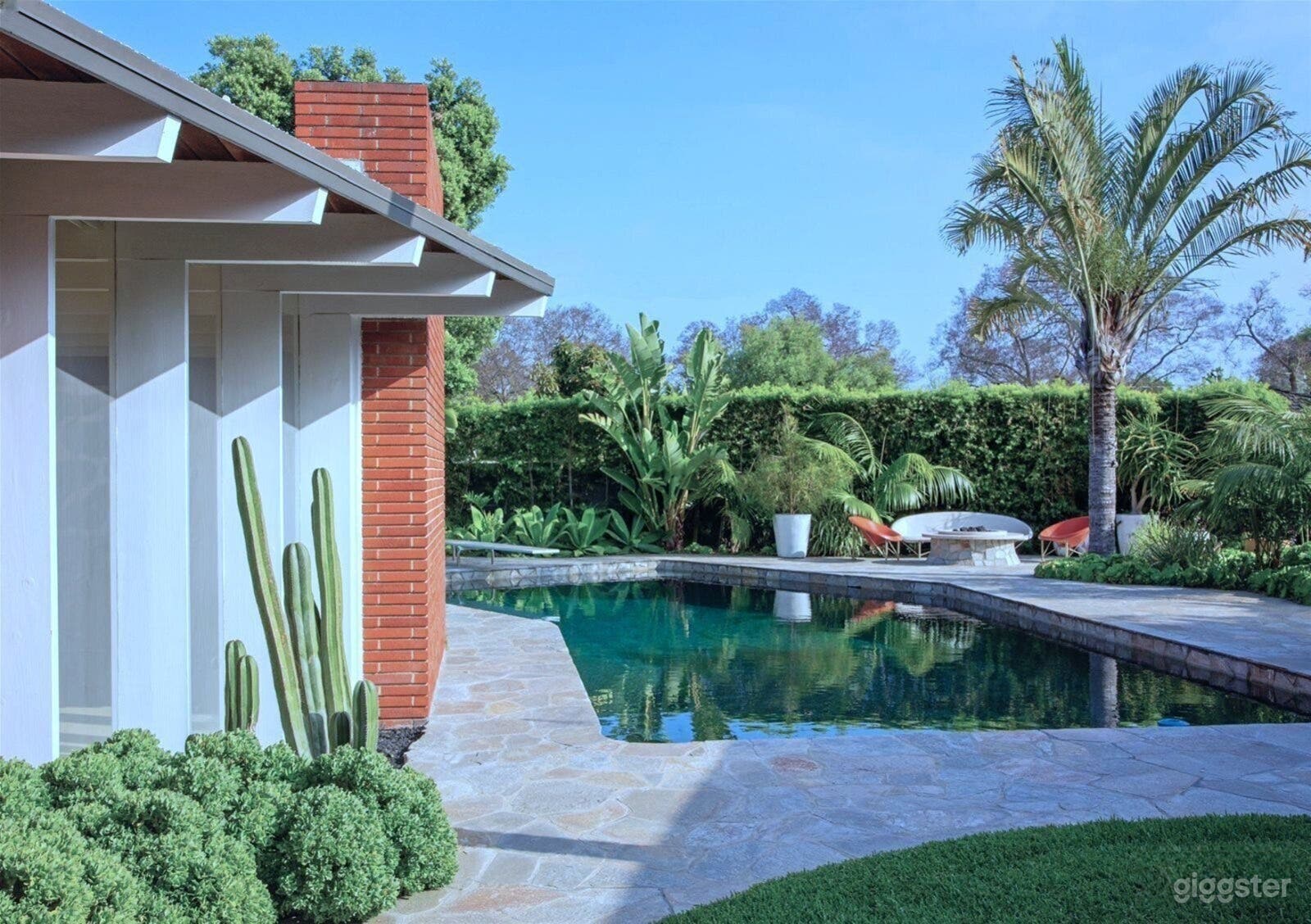 Mid-Century Modern Backyard Oasis Photo 4