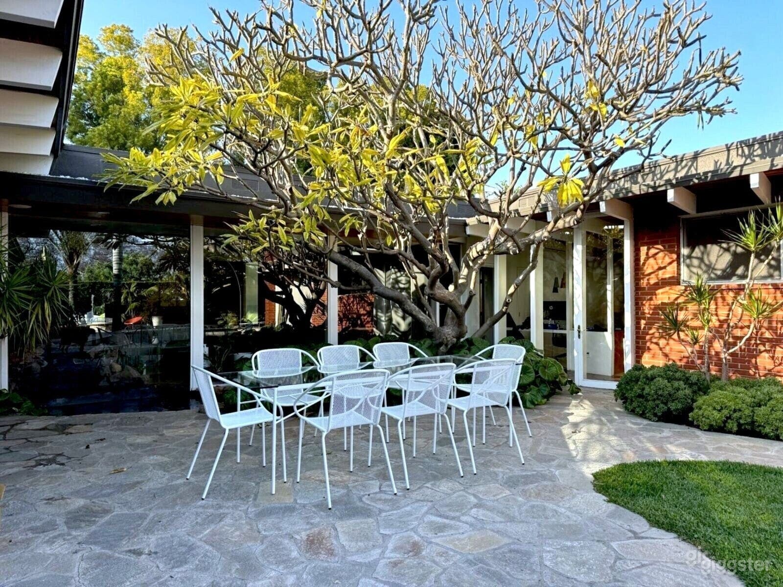 Mid-Century Modern Backyard Oasis Photo 1