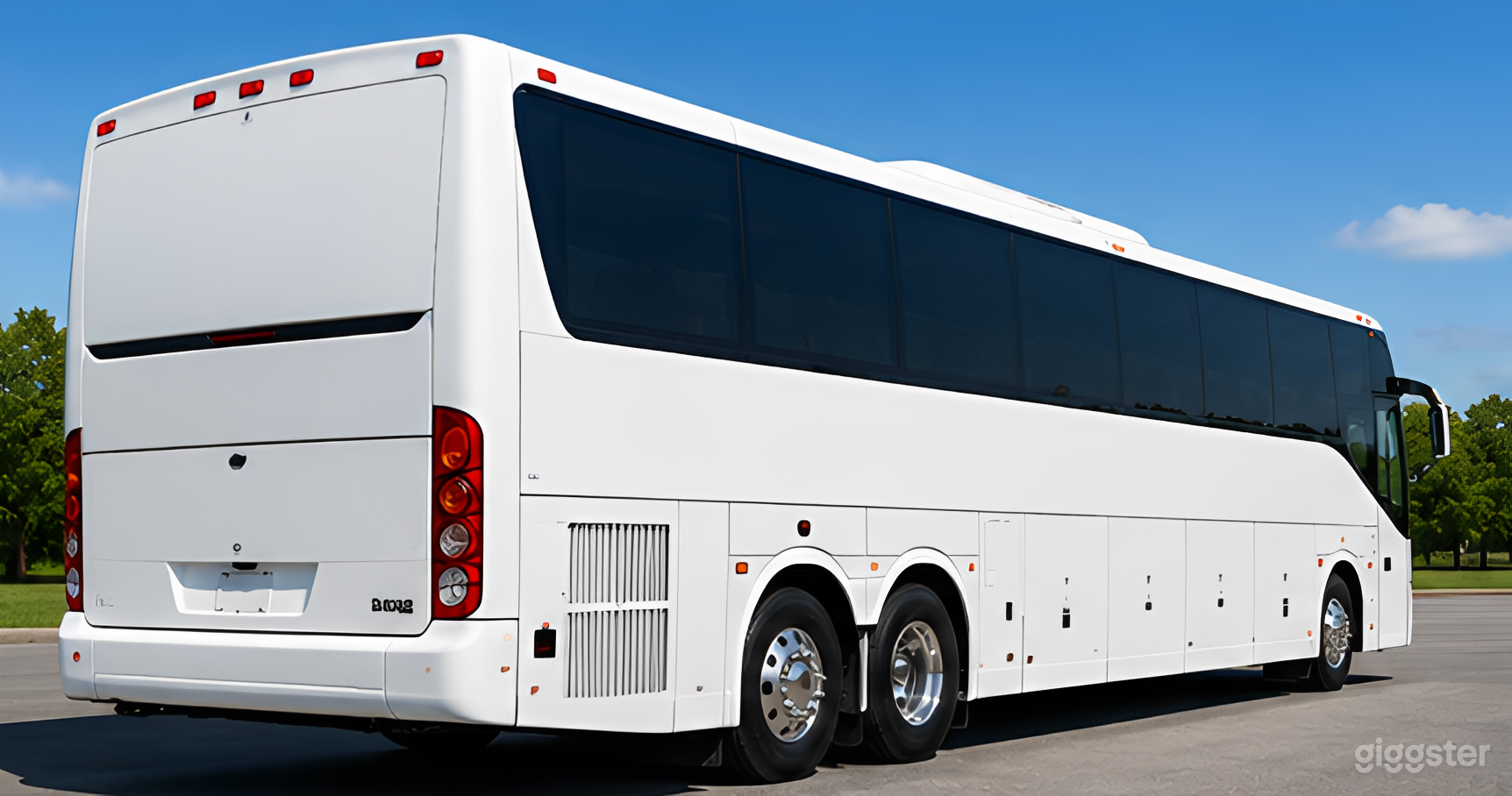 Executive VIP Luxury Charter Coach Photo 2