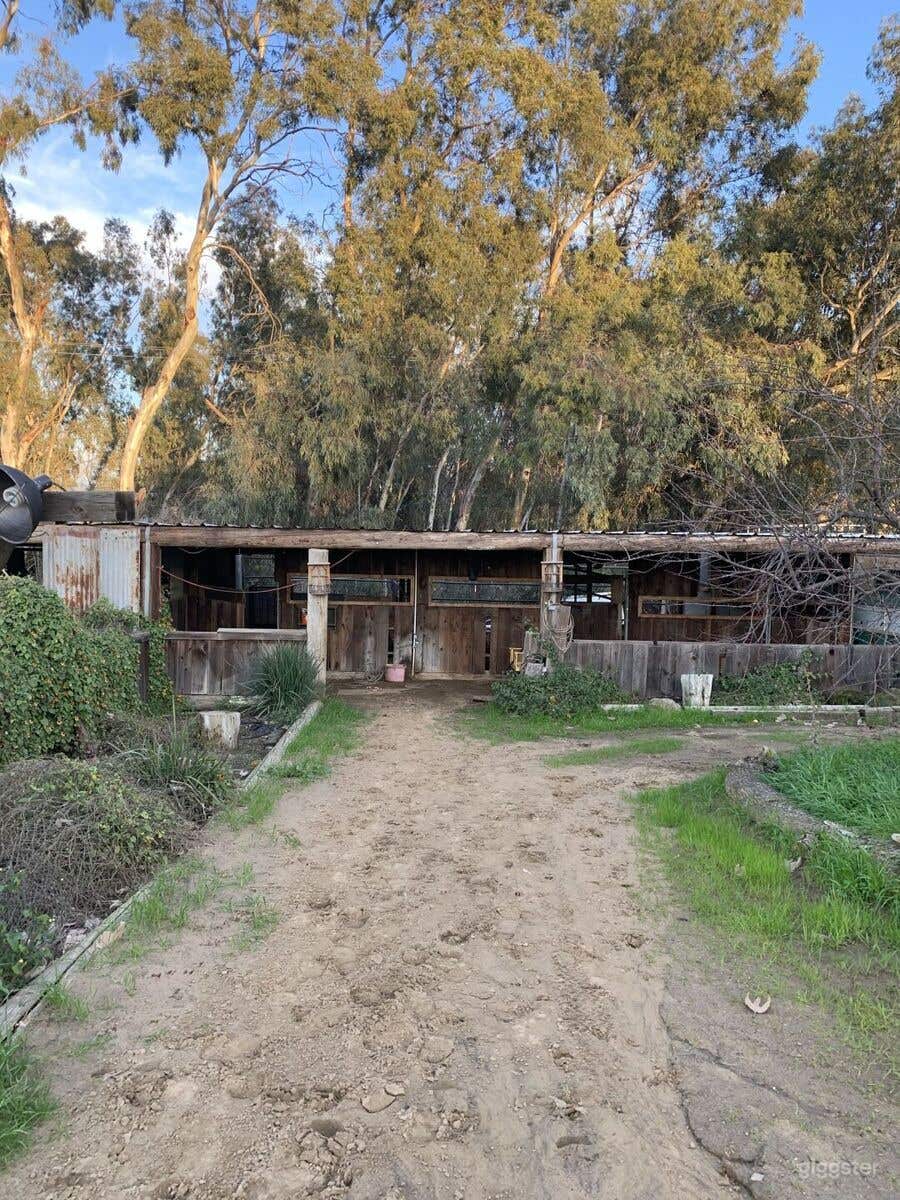 Rustic Hay Barn for Productions Photo 1