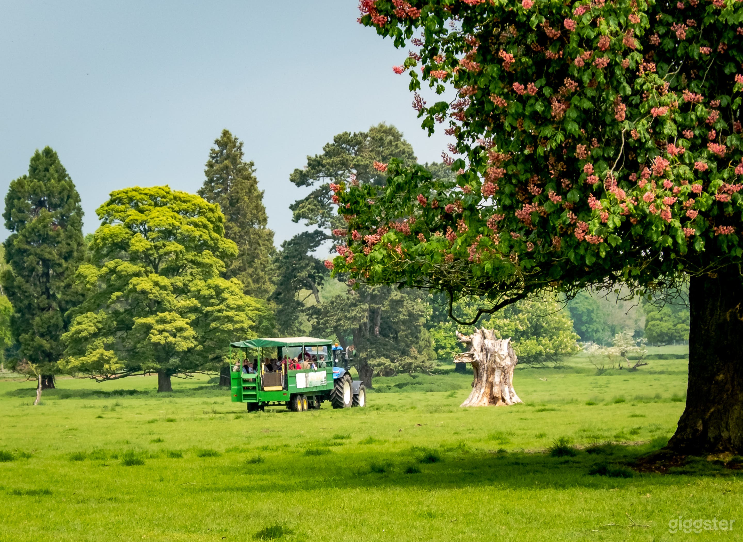 Large Outdoor Parkland, Lake setting with Multiple Venue Hire Options Photo 3