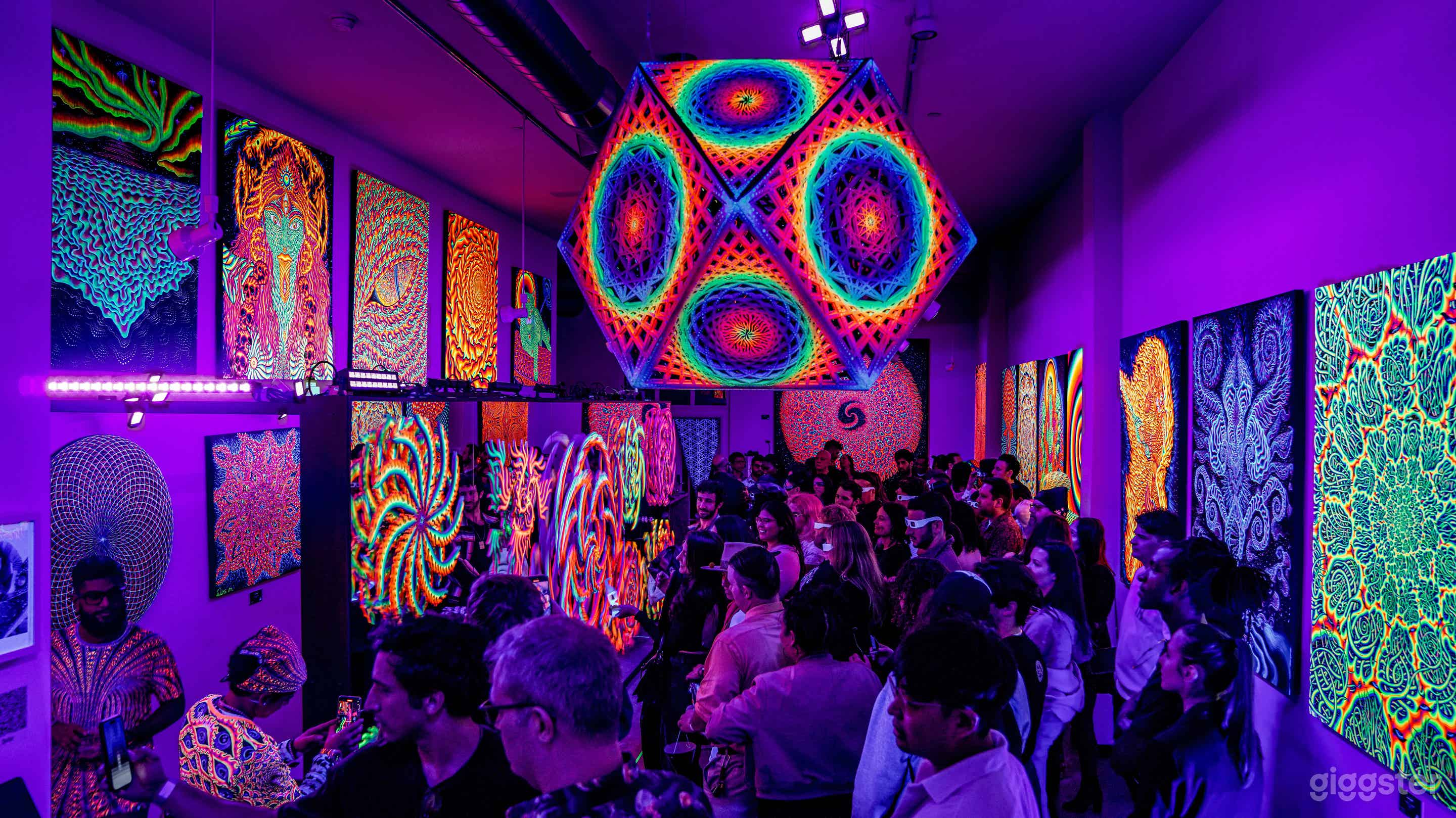 Immersive Blacklight Art Gallery-Venue for Mix Use Photo 1
