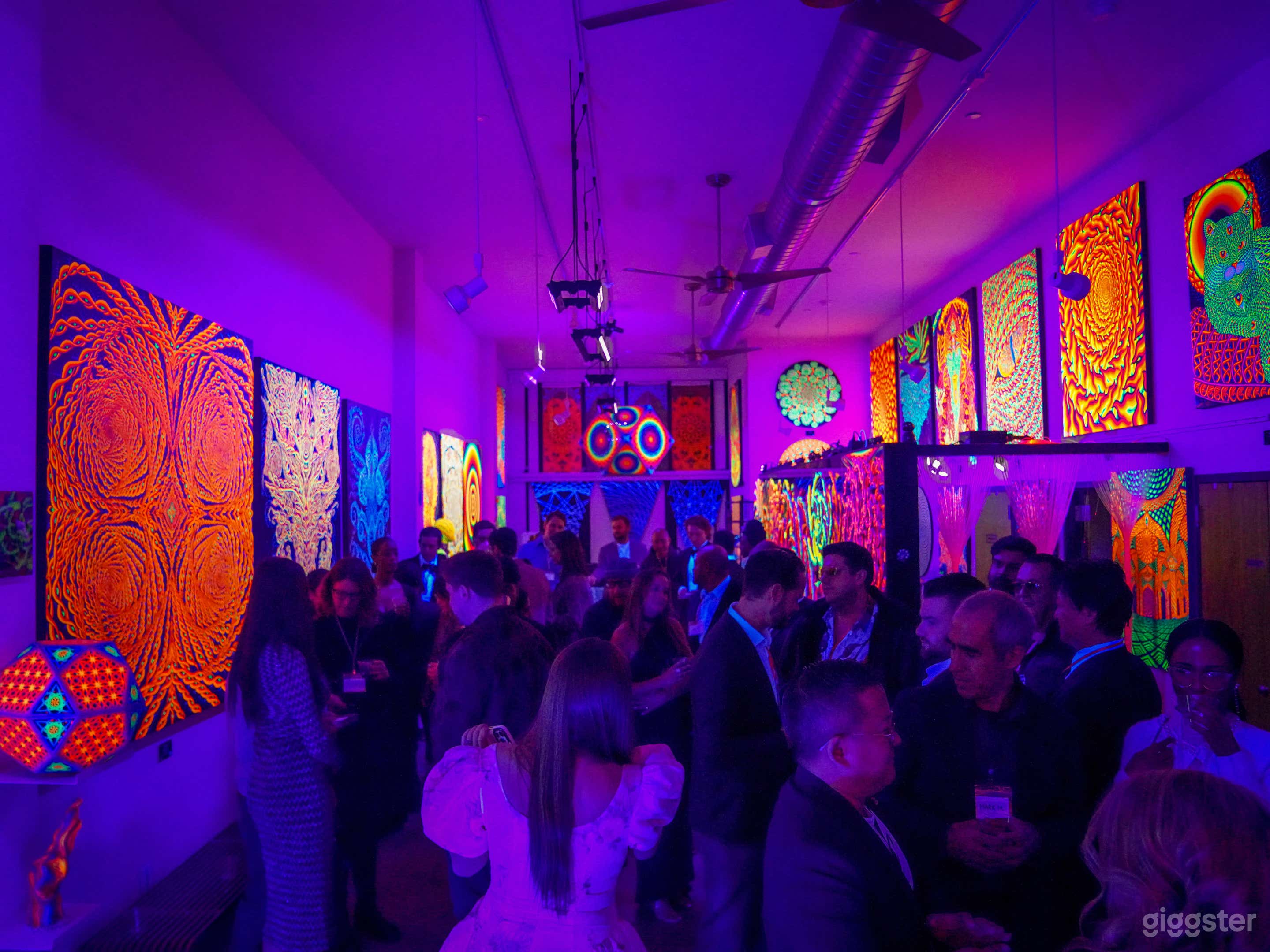 Immersive Blacklight Art Gallery-Venue for Mix Use Photo 2