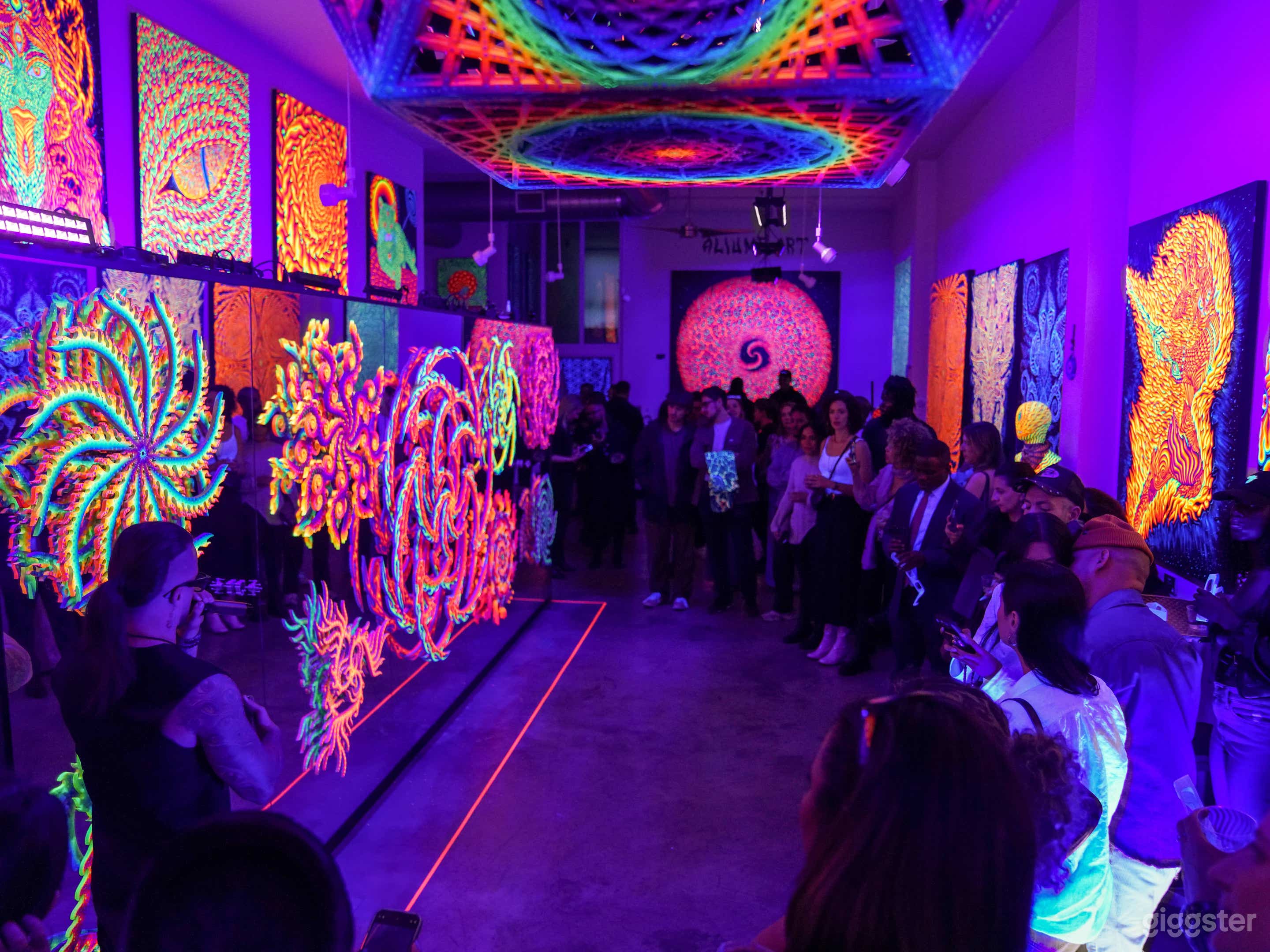 Immersive Blacklight Art Gallery-Venue for Mix Use Photo 4