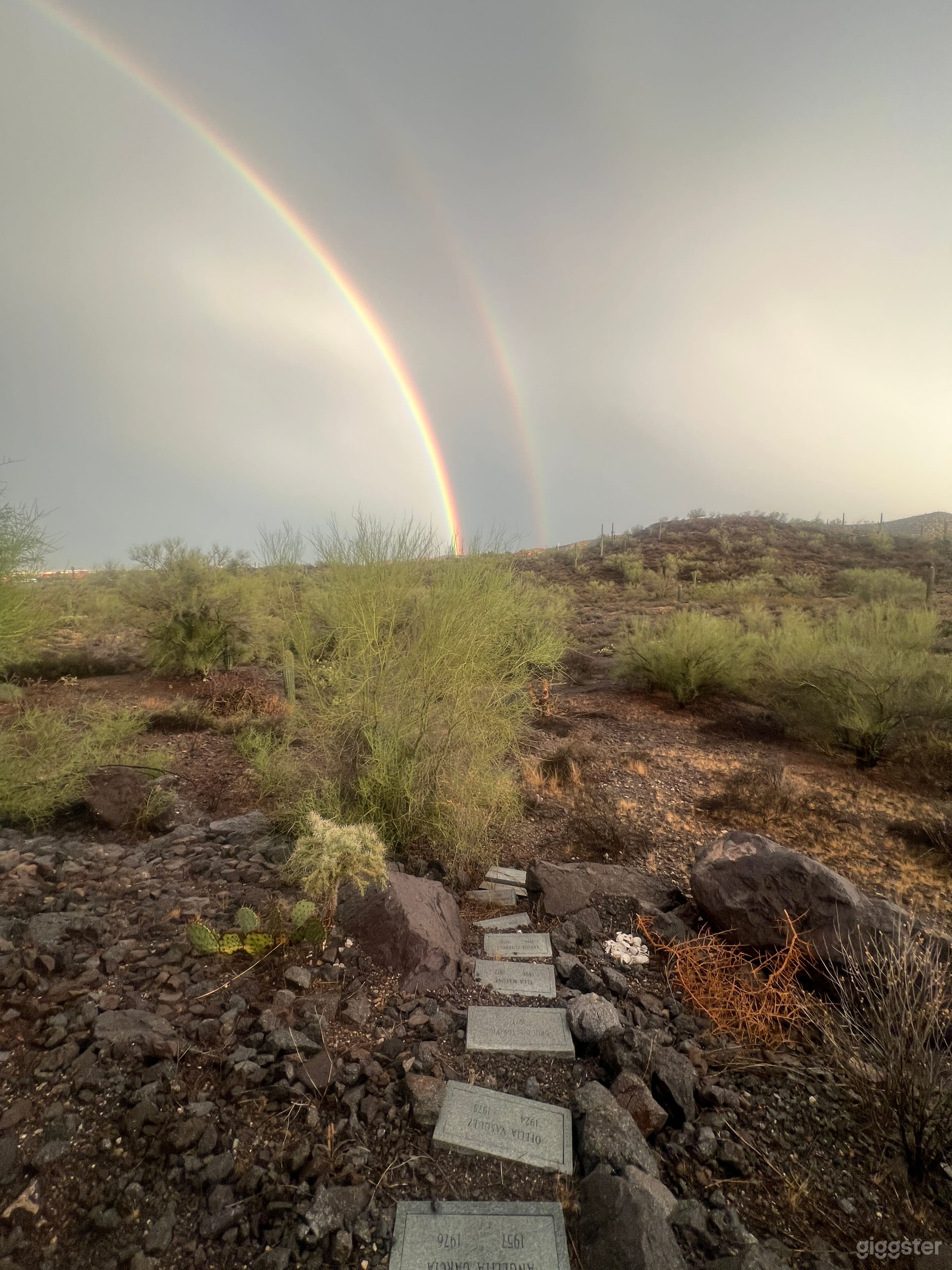 Desert Funhouse Photo 3