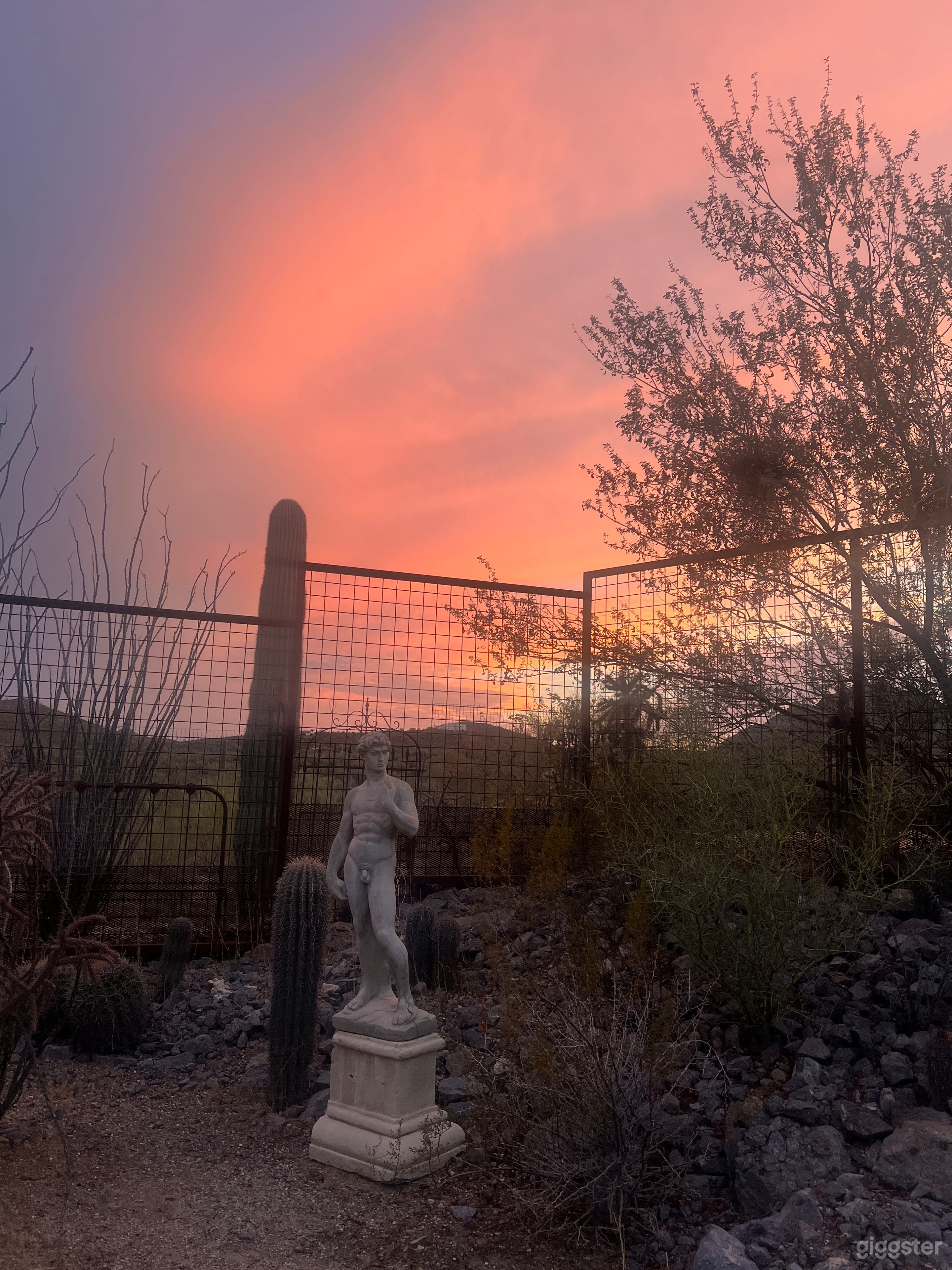 Desert Funhouse Photo 1