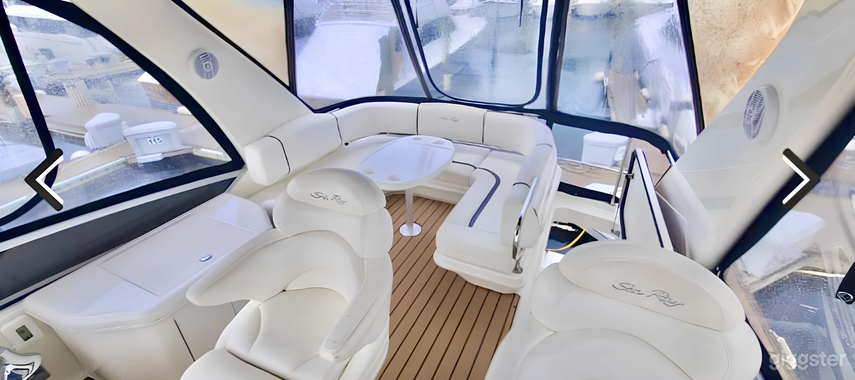 46ft “Versace” Yacht (BIG ENERGY) Photo 3